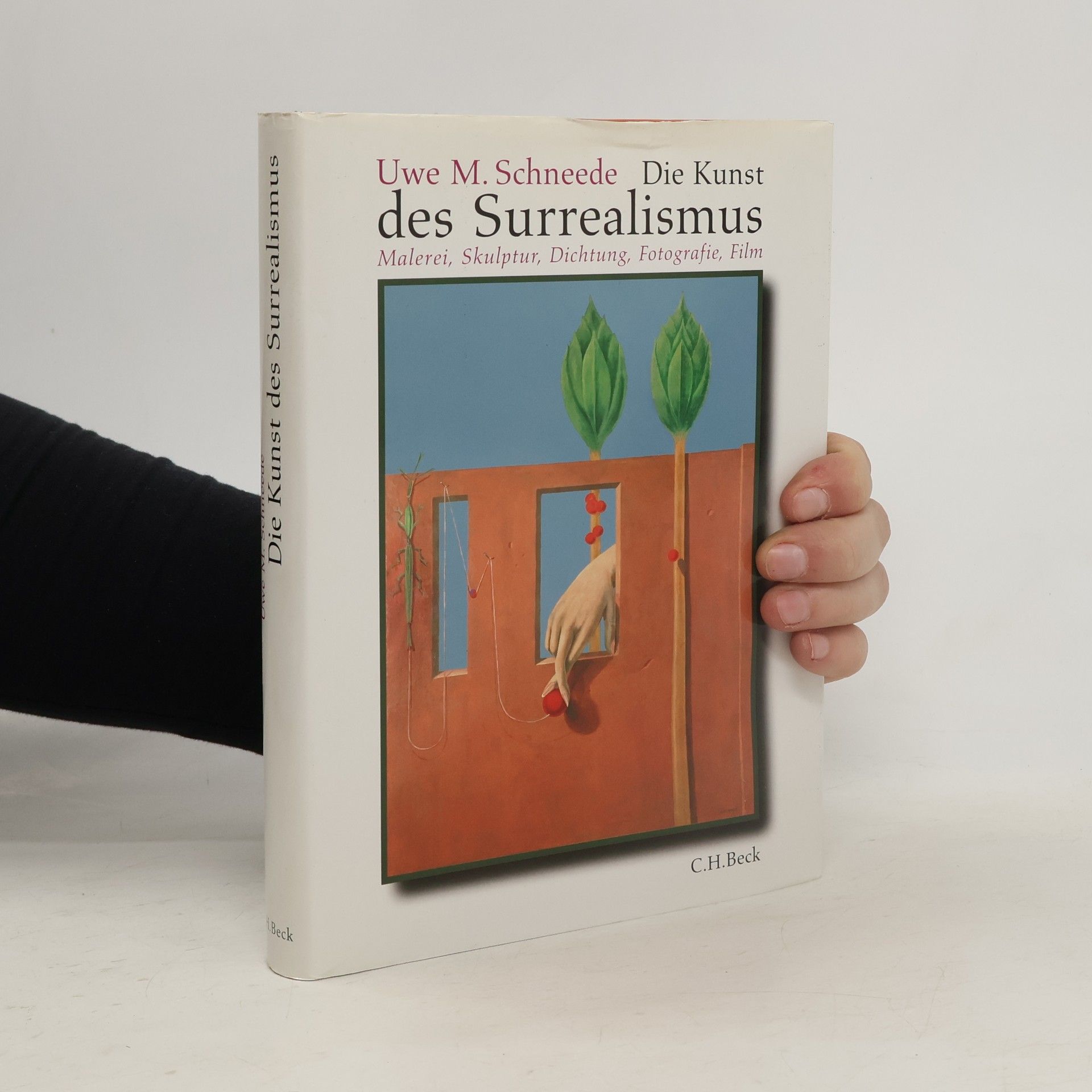 Uwe M. Schneede Die Kunst des Surrealismus