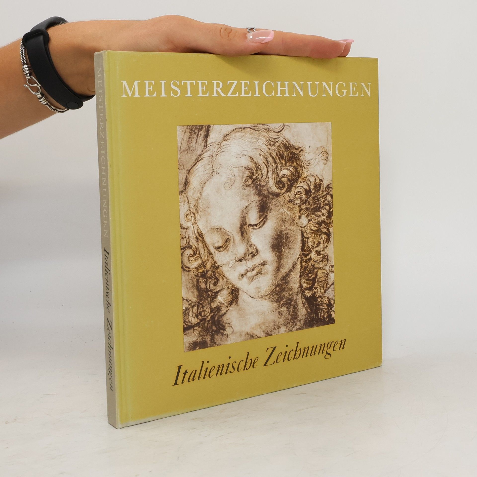 AA.VV. Meisterzeichnungen. Italienische Zeichnungen