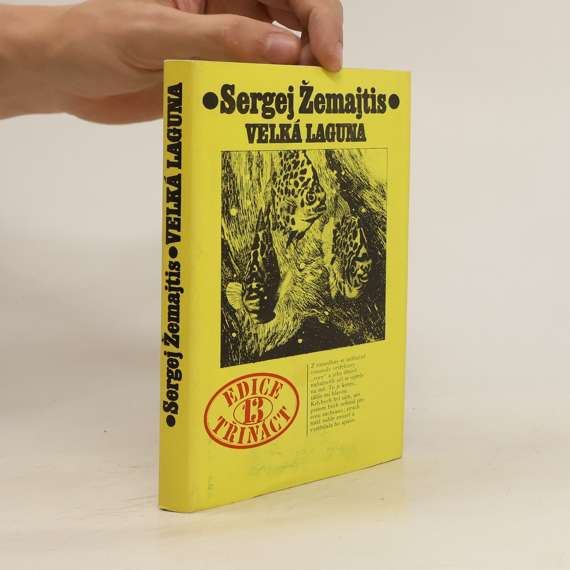 Sergej Georgijevič Žemajtis Velká laguna