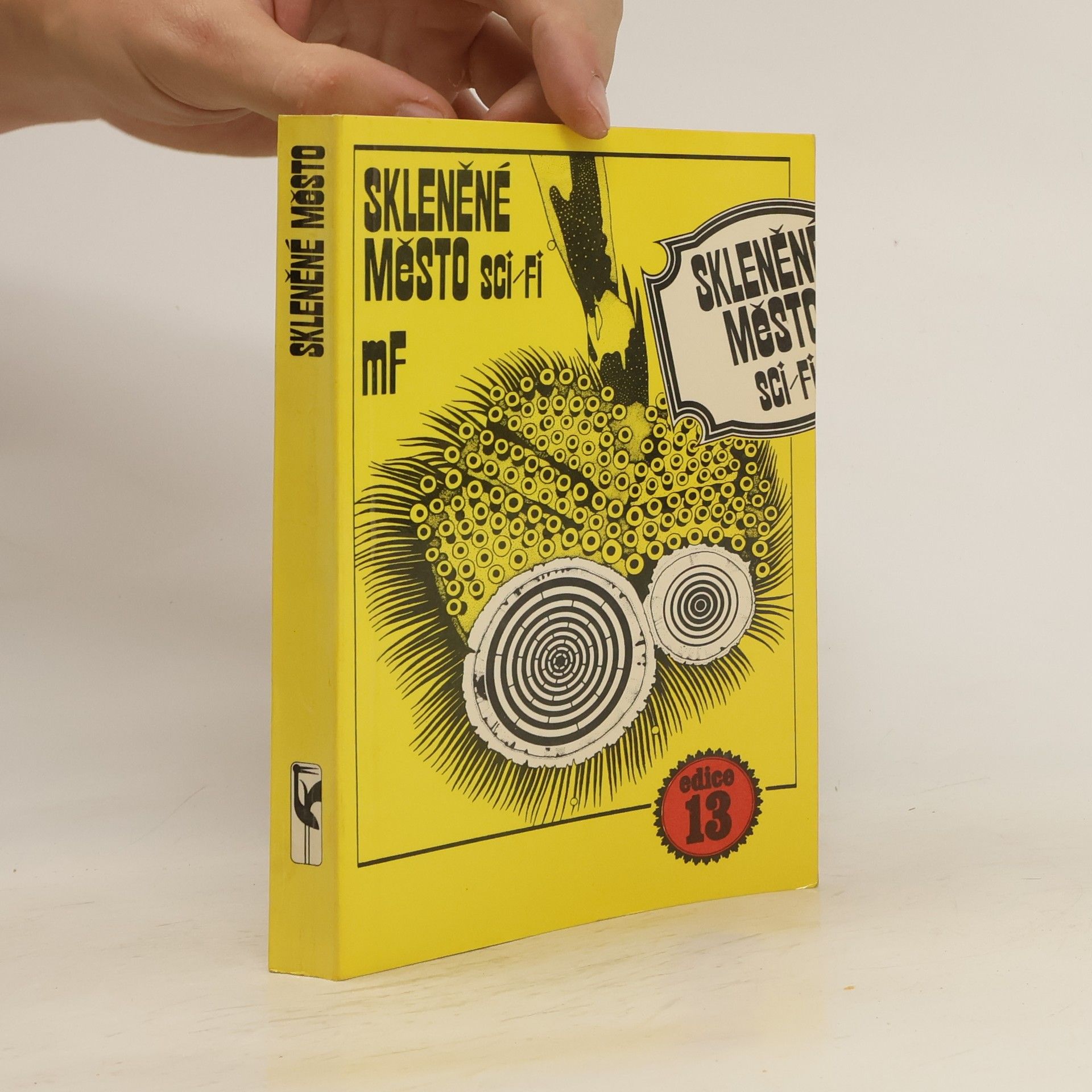 Collectif d'auteurs Skleněné město