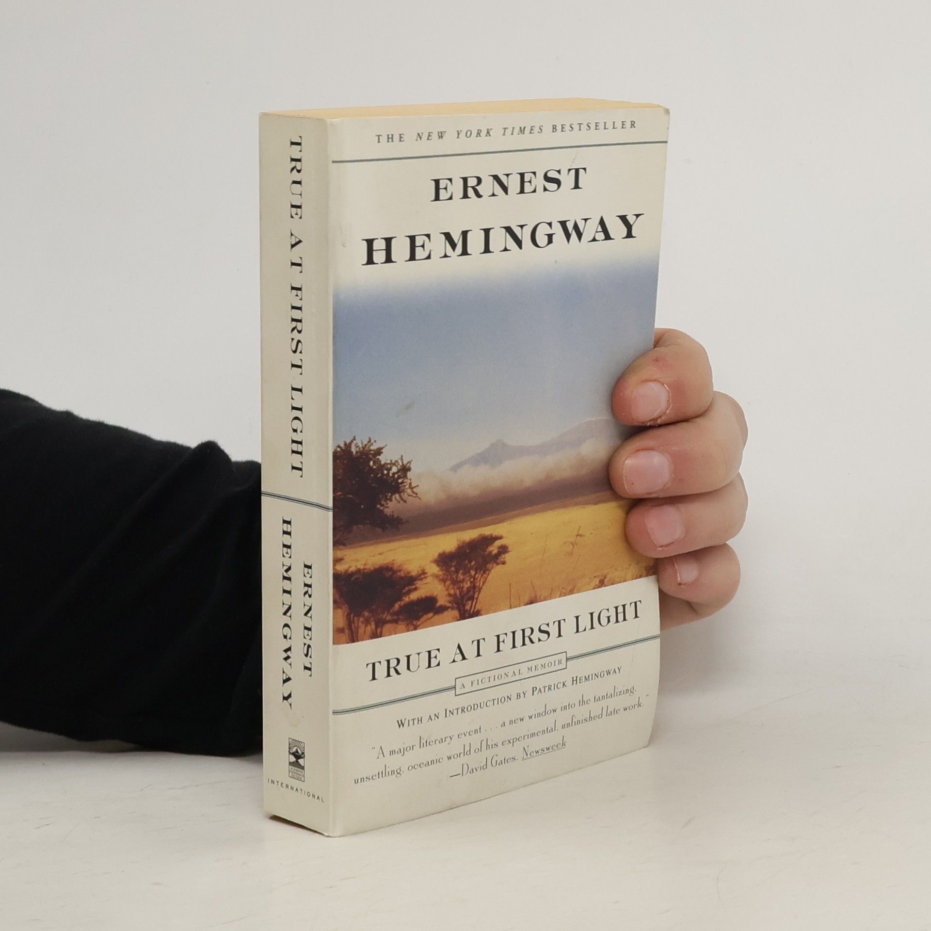 Ernest Hemingway True at First Light