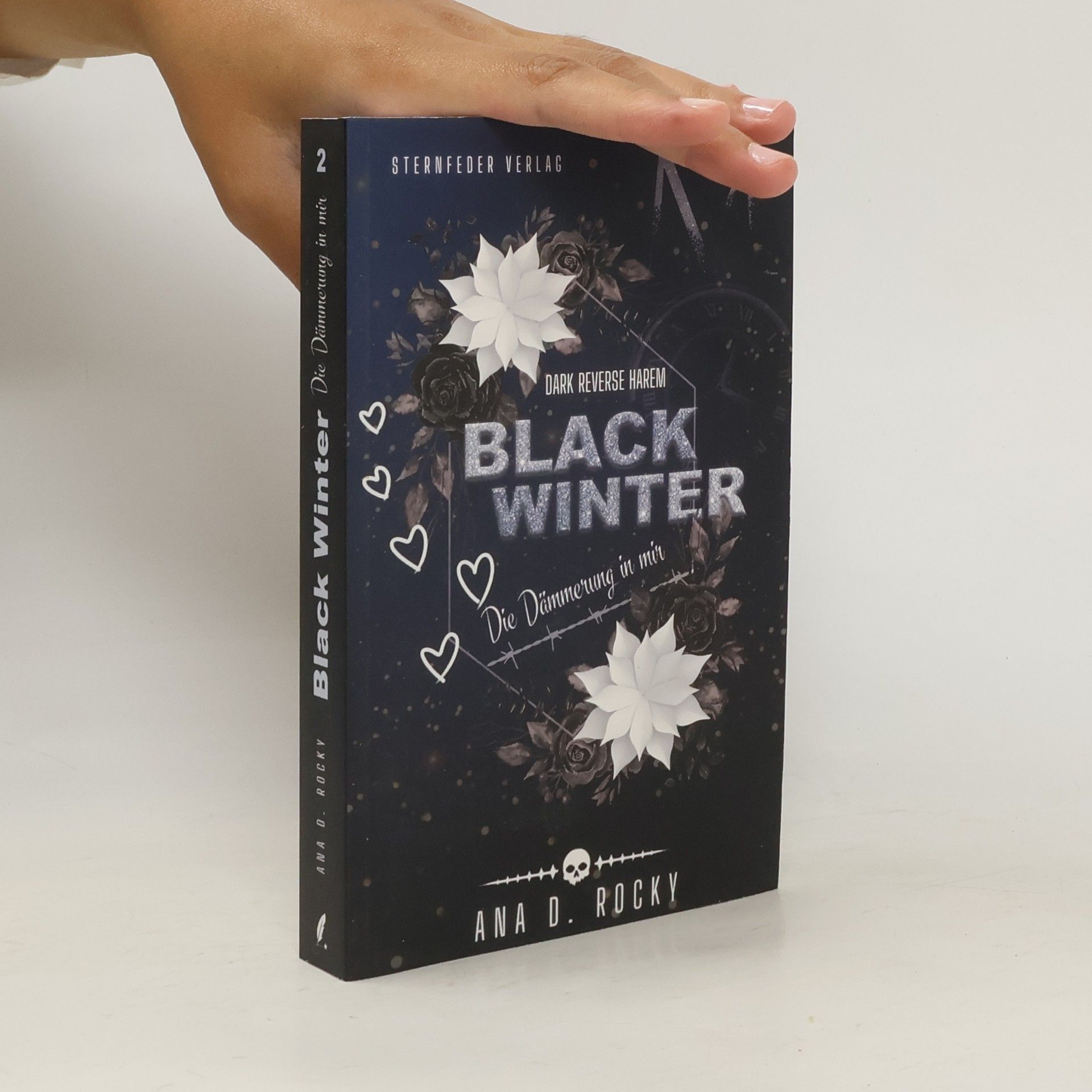 Ana D. Rocky Black Winter. Die Dämmerung in mir