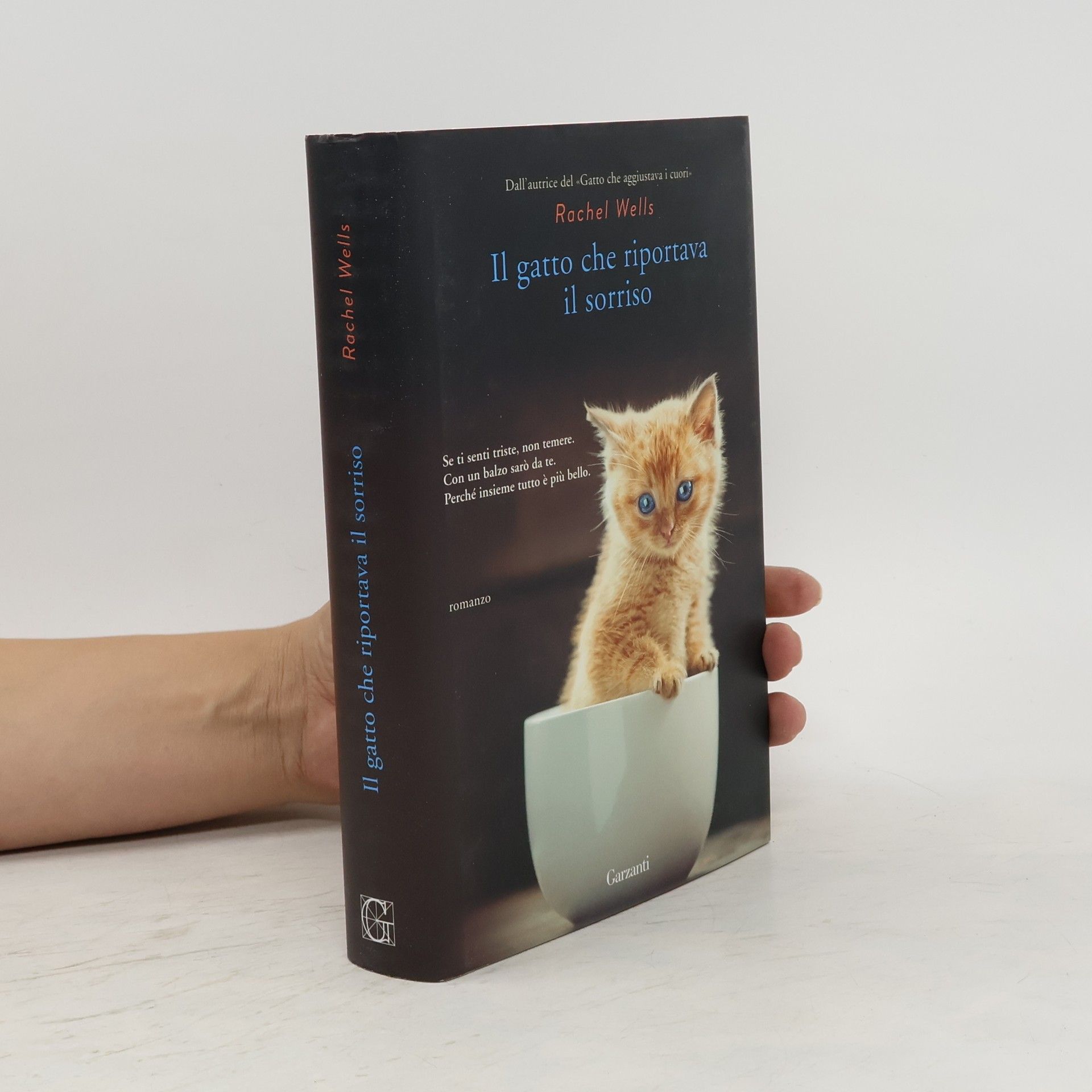 Rachel Wells Il gatto che riportava il sorriso