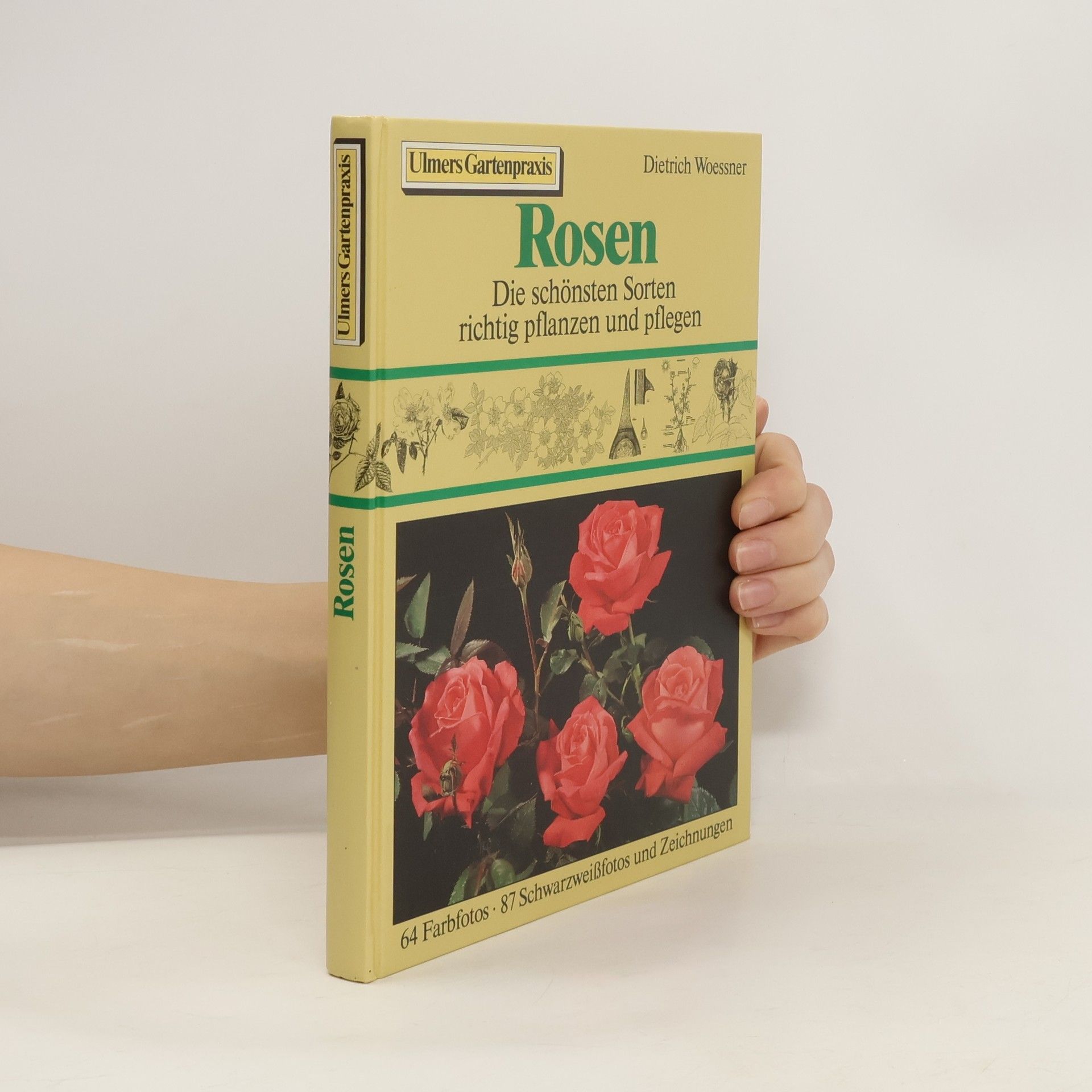 Dietrich Woessner Rosen. Die schönsten Sorten richtig pflanzen und pflegen