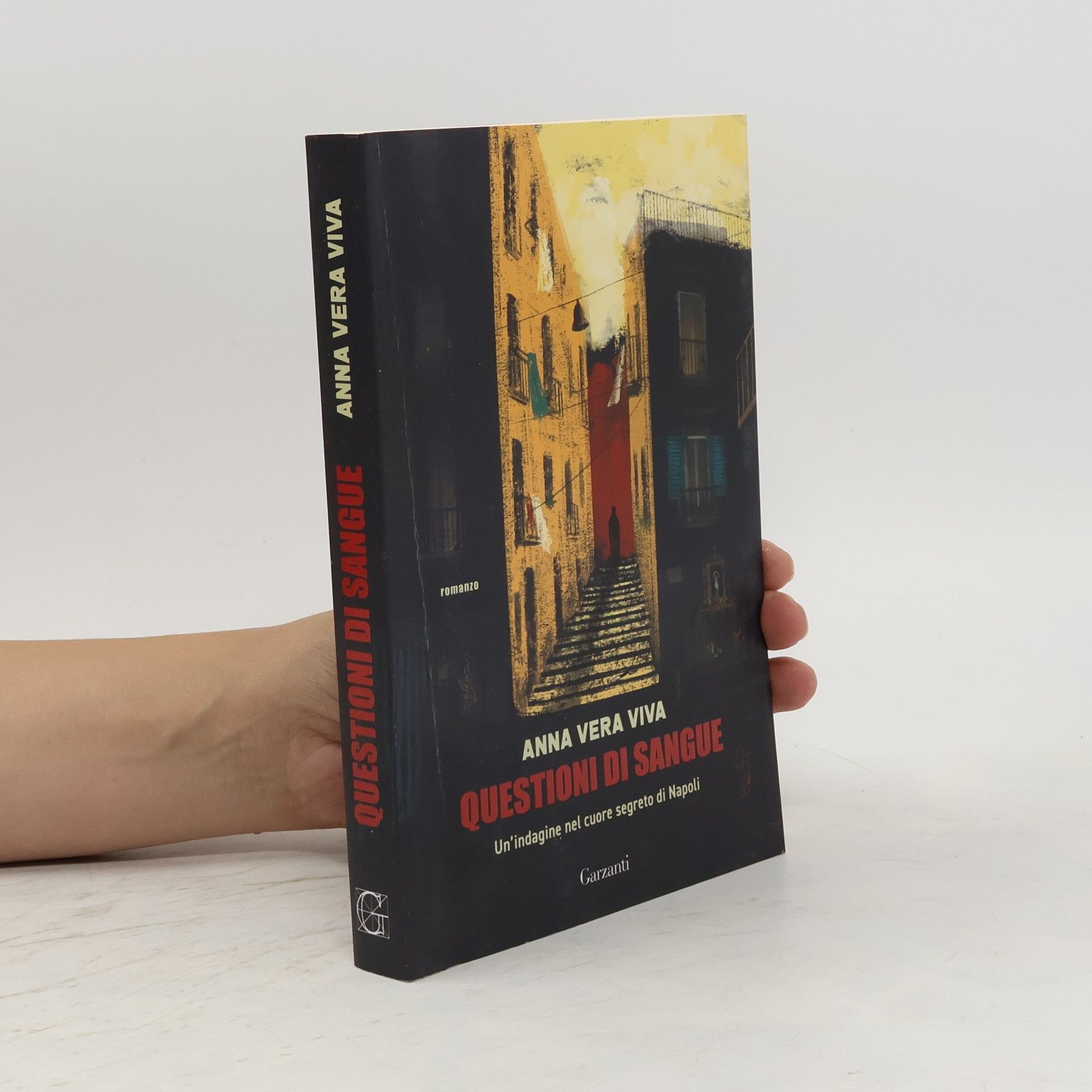 Anna Vera Viva Questioni di sangue. Un'indagine nel cuore segreto di Napoli