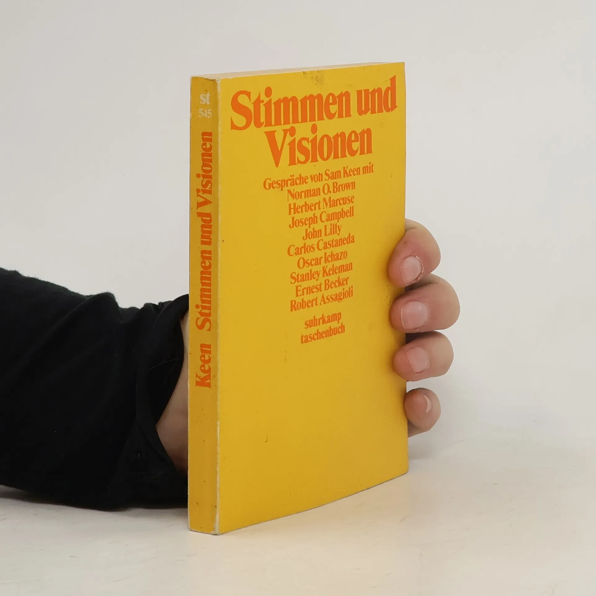Stimmen und Visionen | Sam Keen | Allemand | Livre