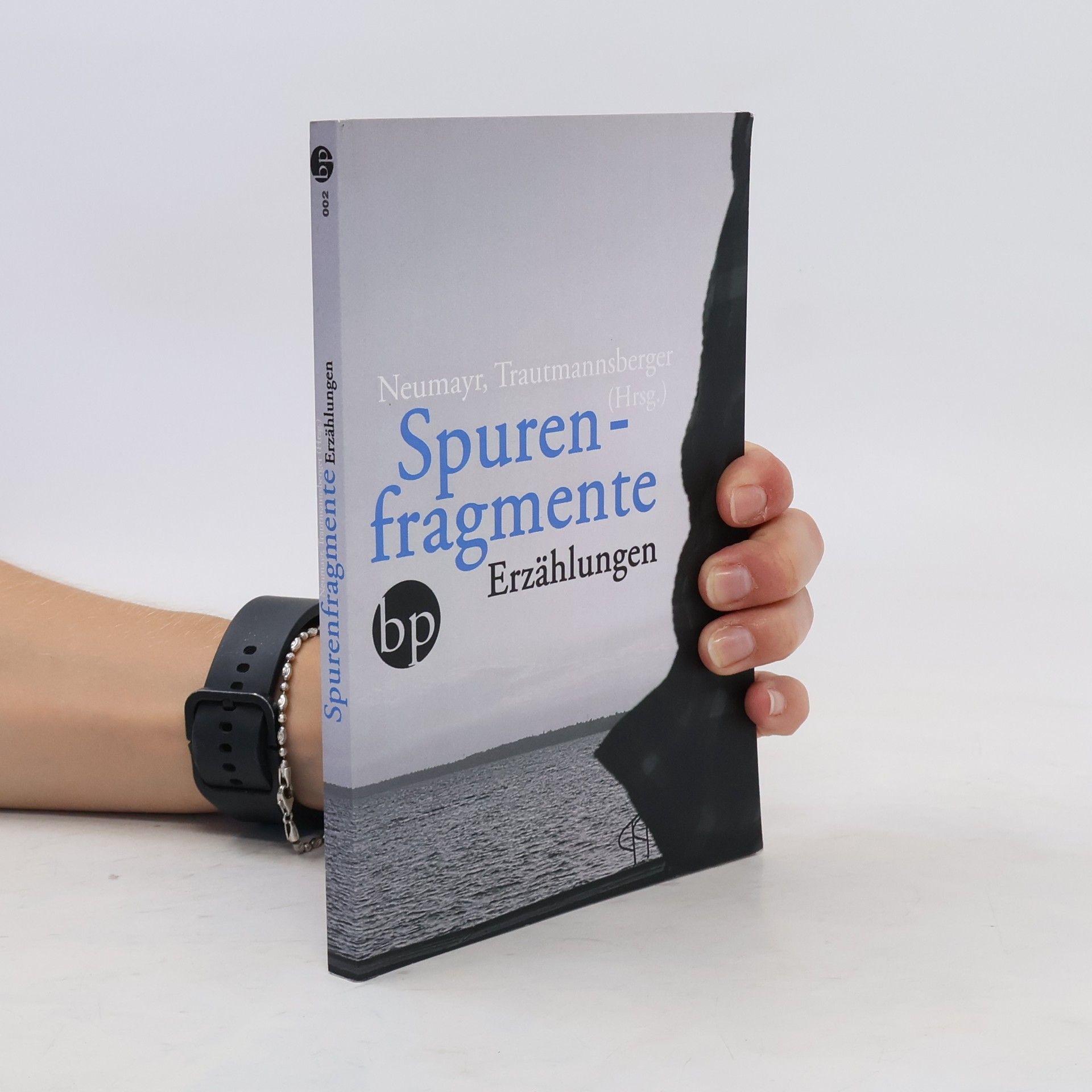 Dominik Neumayr Spurenfragmente