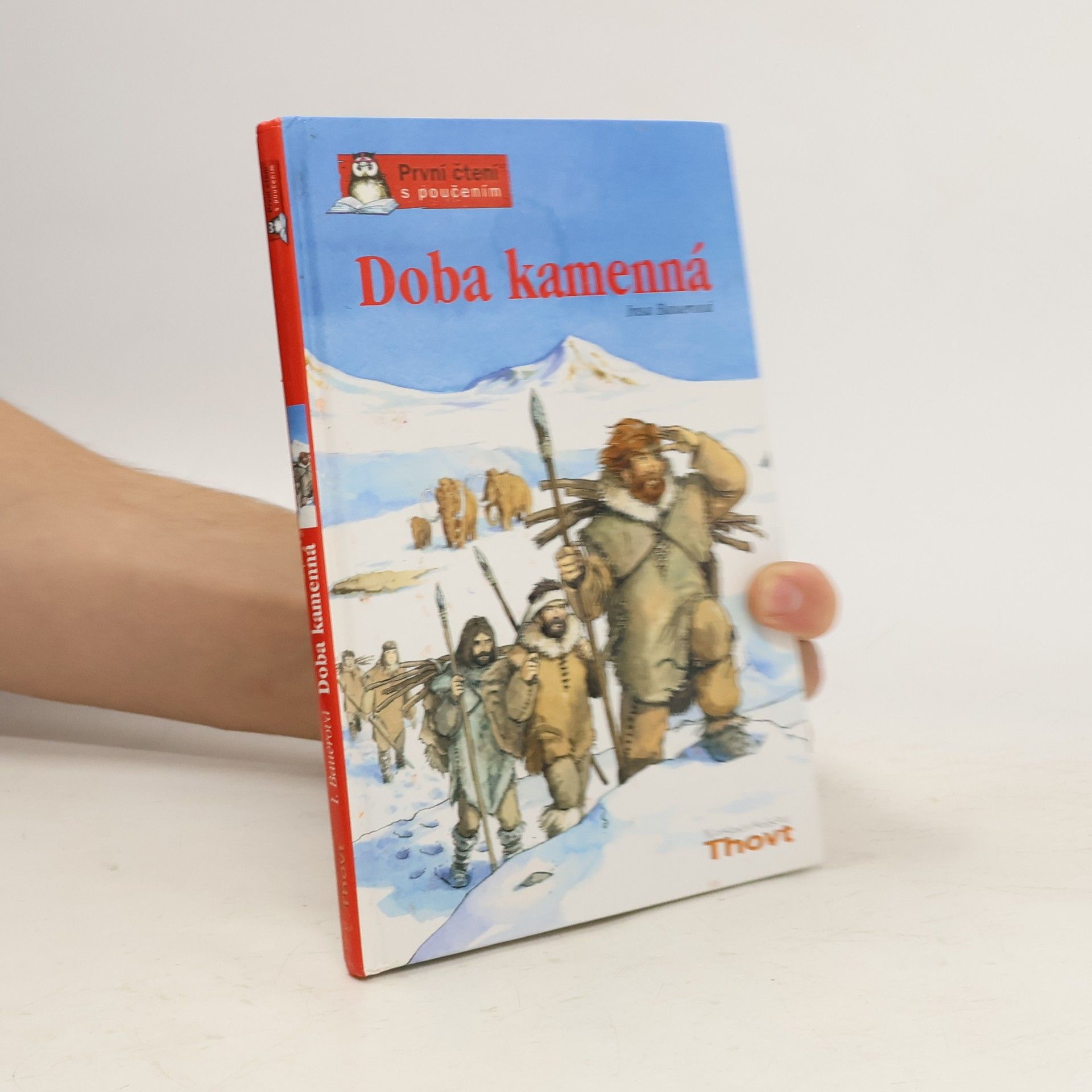 Insa Bauer Doba kamenná
