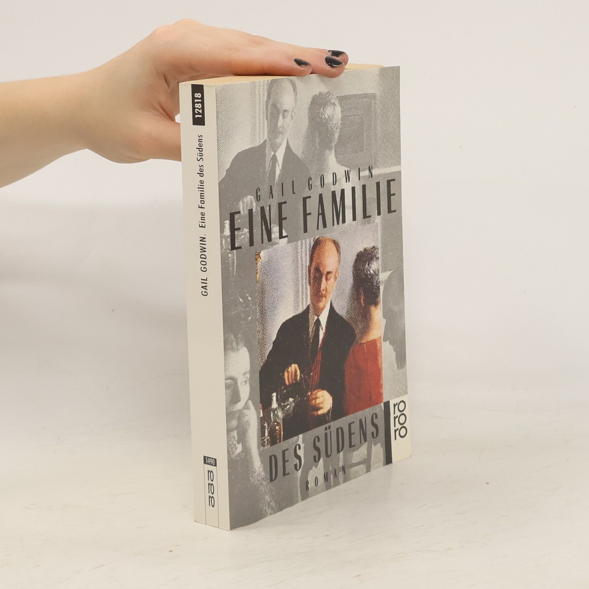 Gail Godwin Eine Familie des Südens