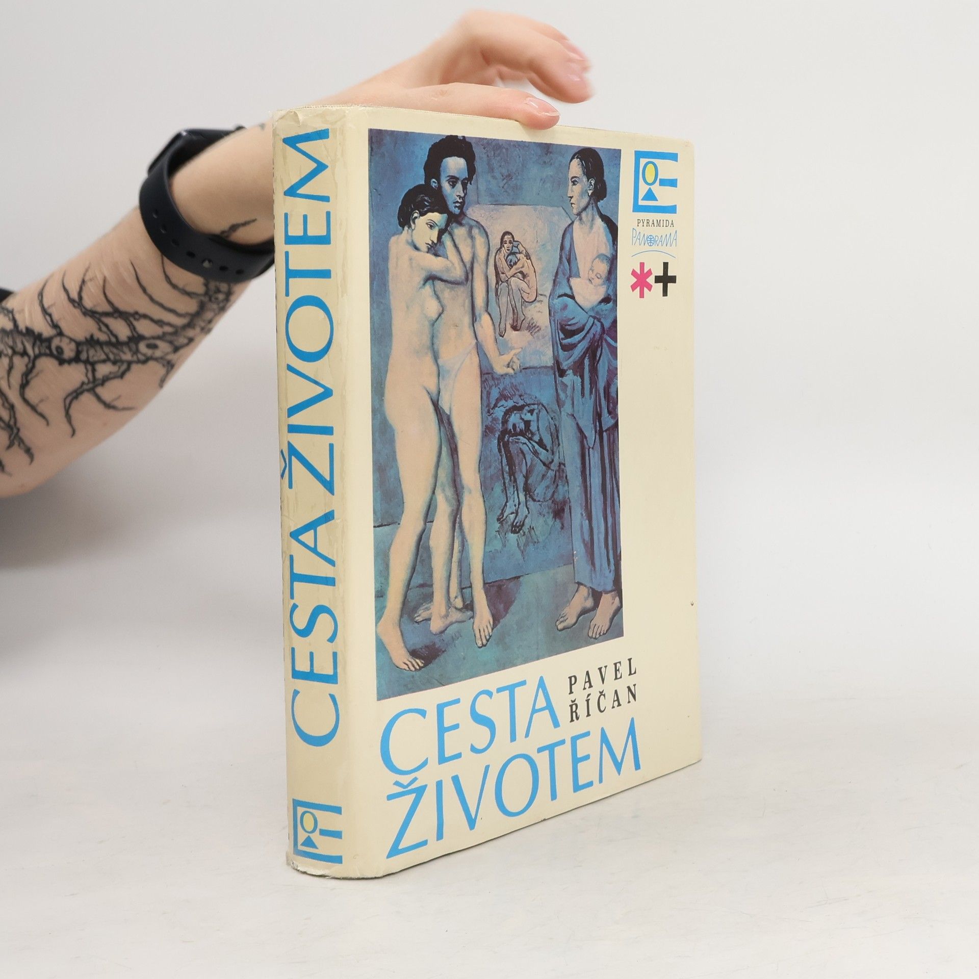 Pavel Říčan Cesta životem