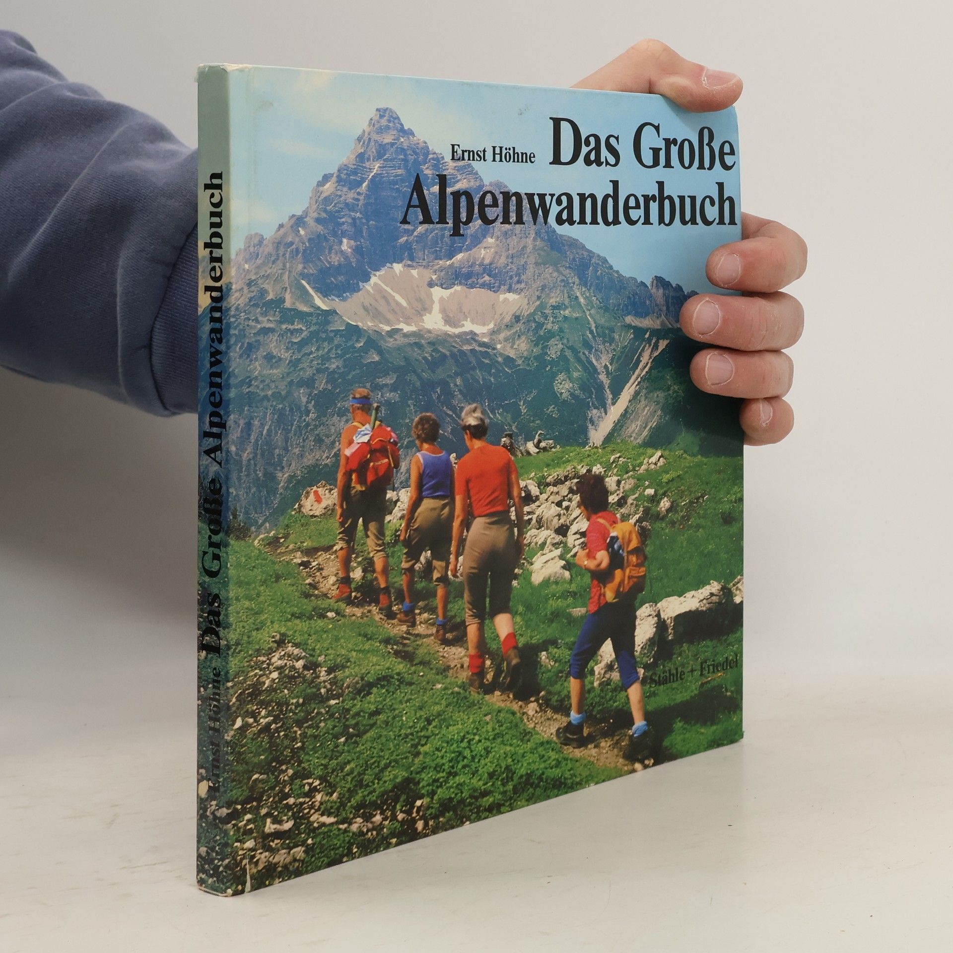 Ernst Höhne Das große Alpenwanderbuch