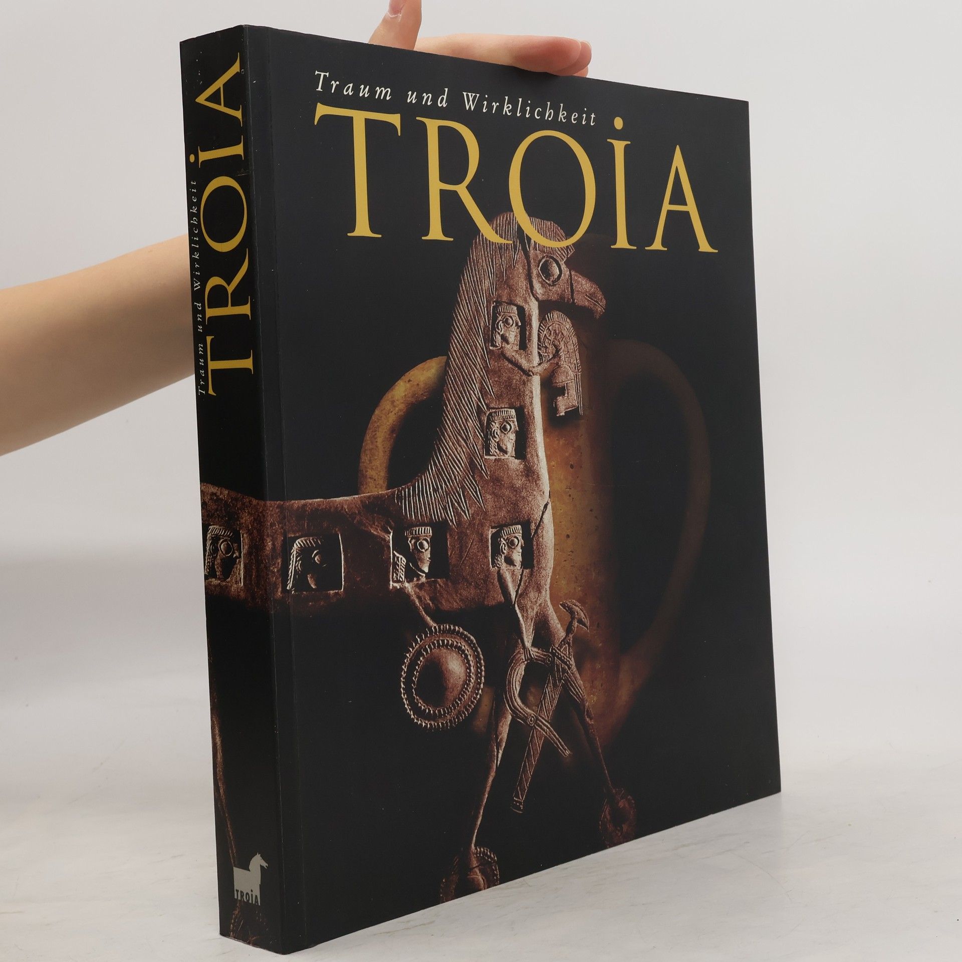 kolektiv Troia : Traum und wirklichkeit