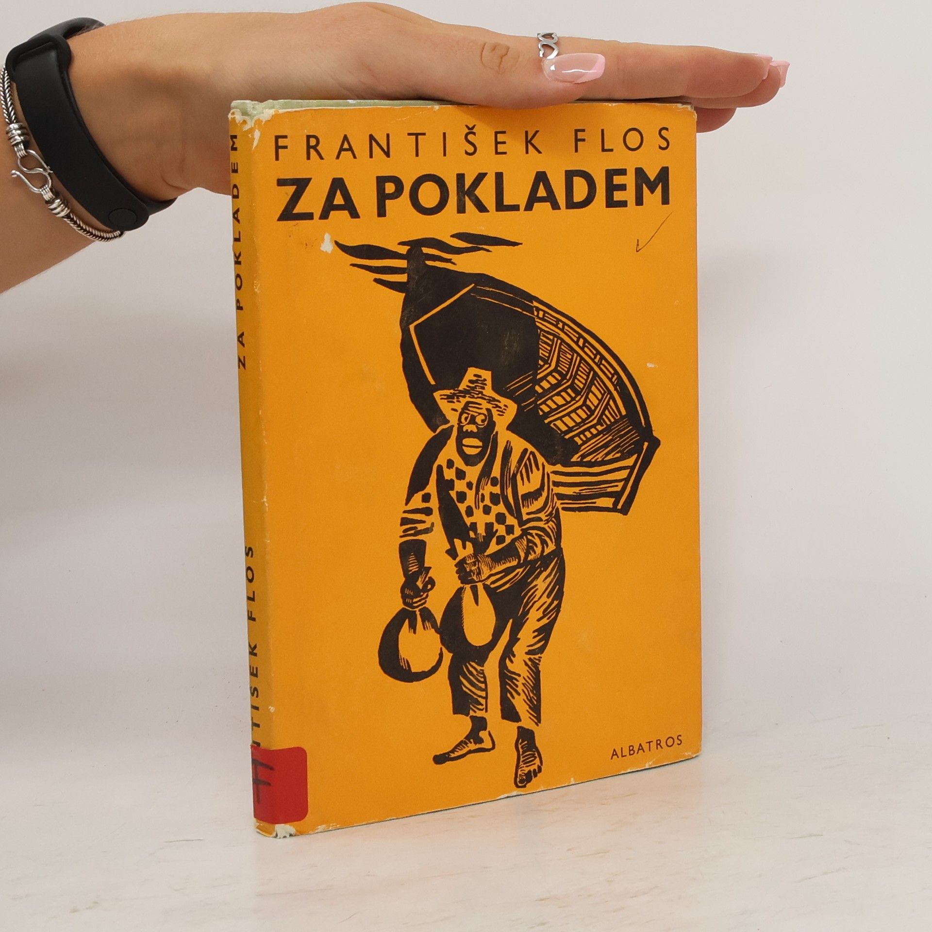 František Flos Za pokladem