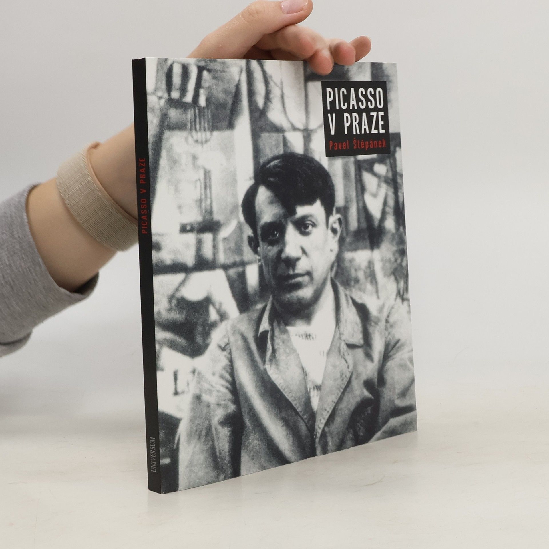 Pavel Štěpánek Picasso v Praze