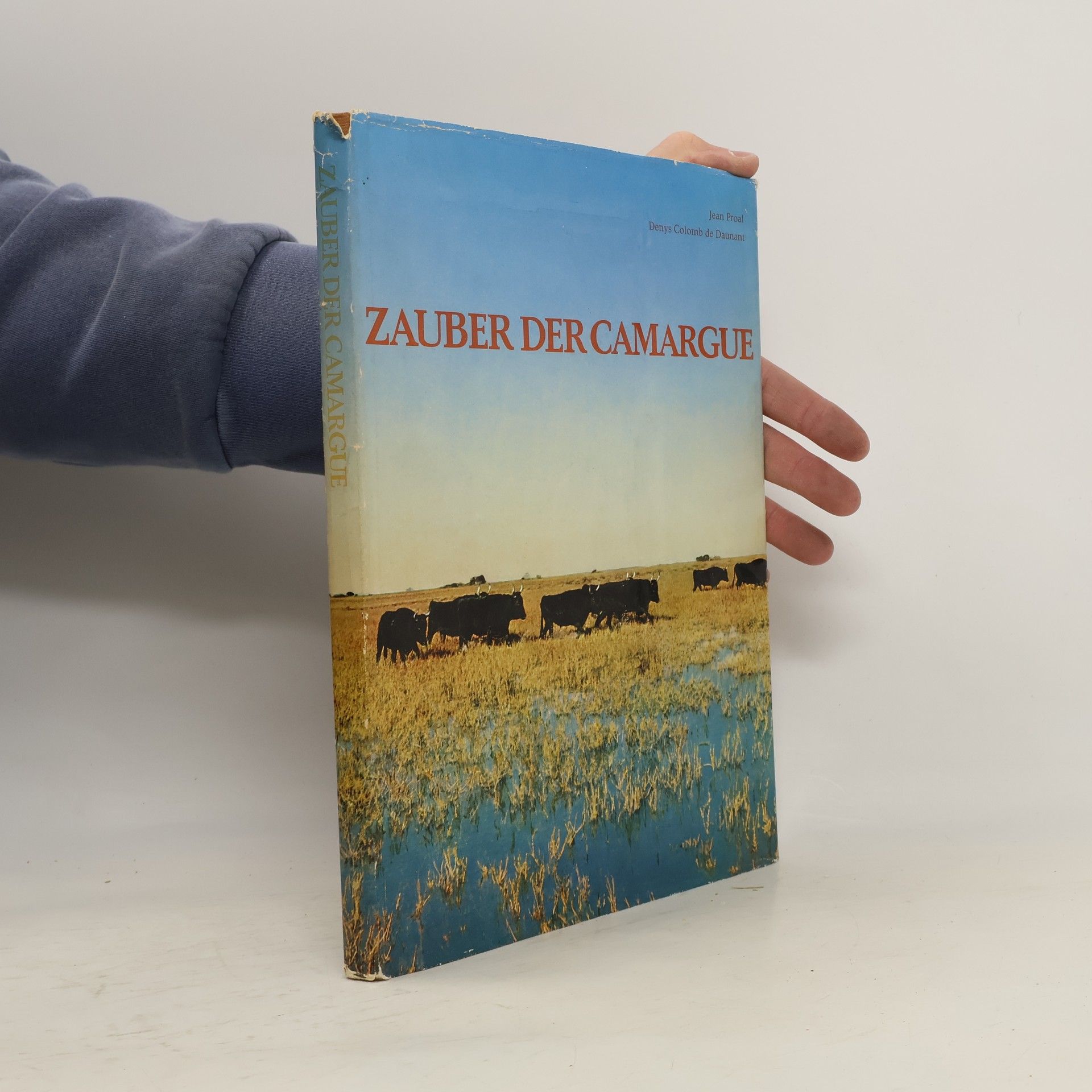 Collective Zauber der Camargue