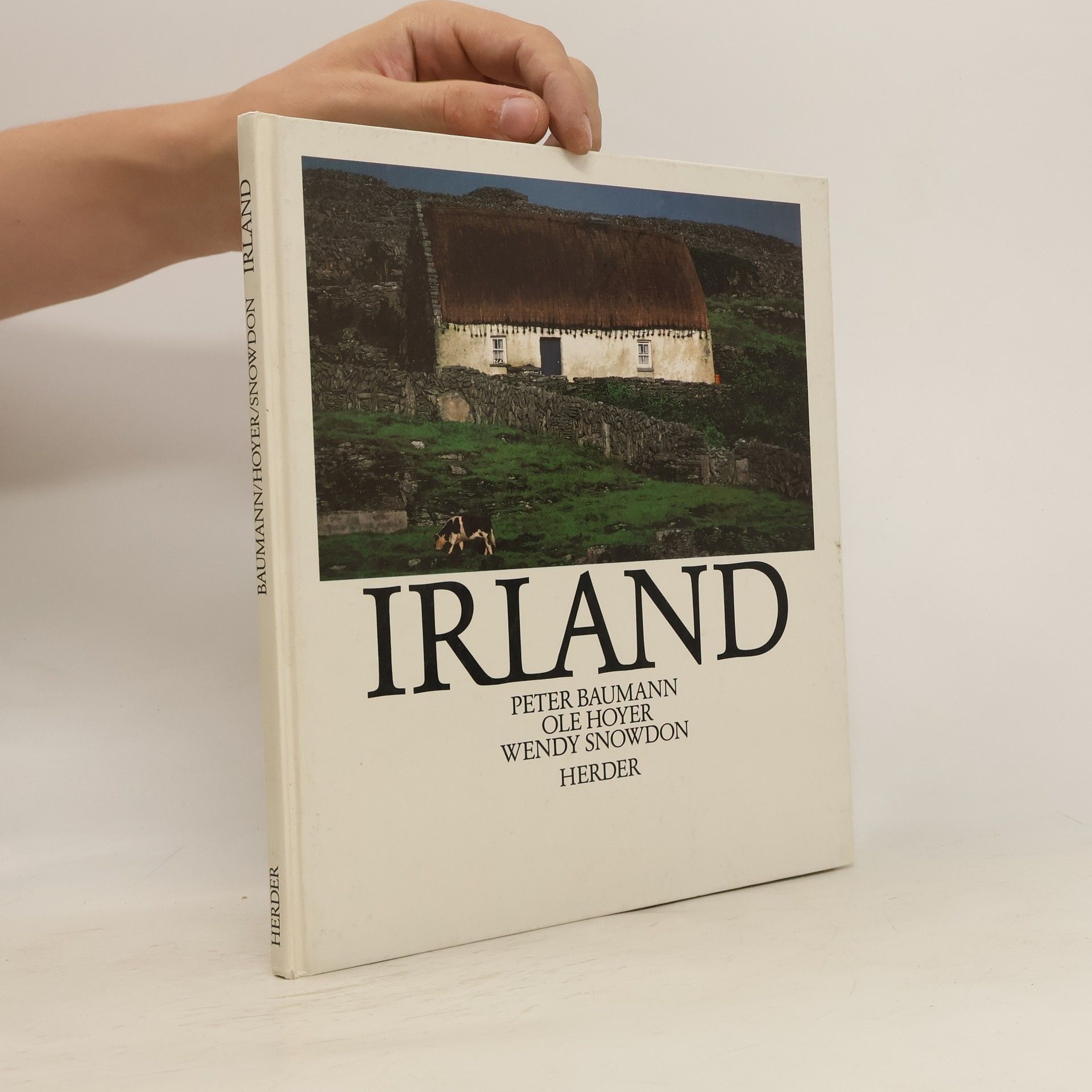 Peter Baumann Irland