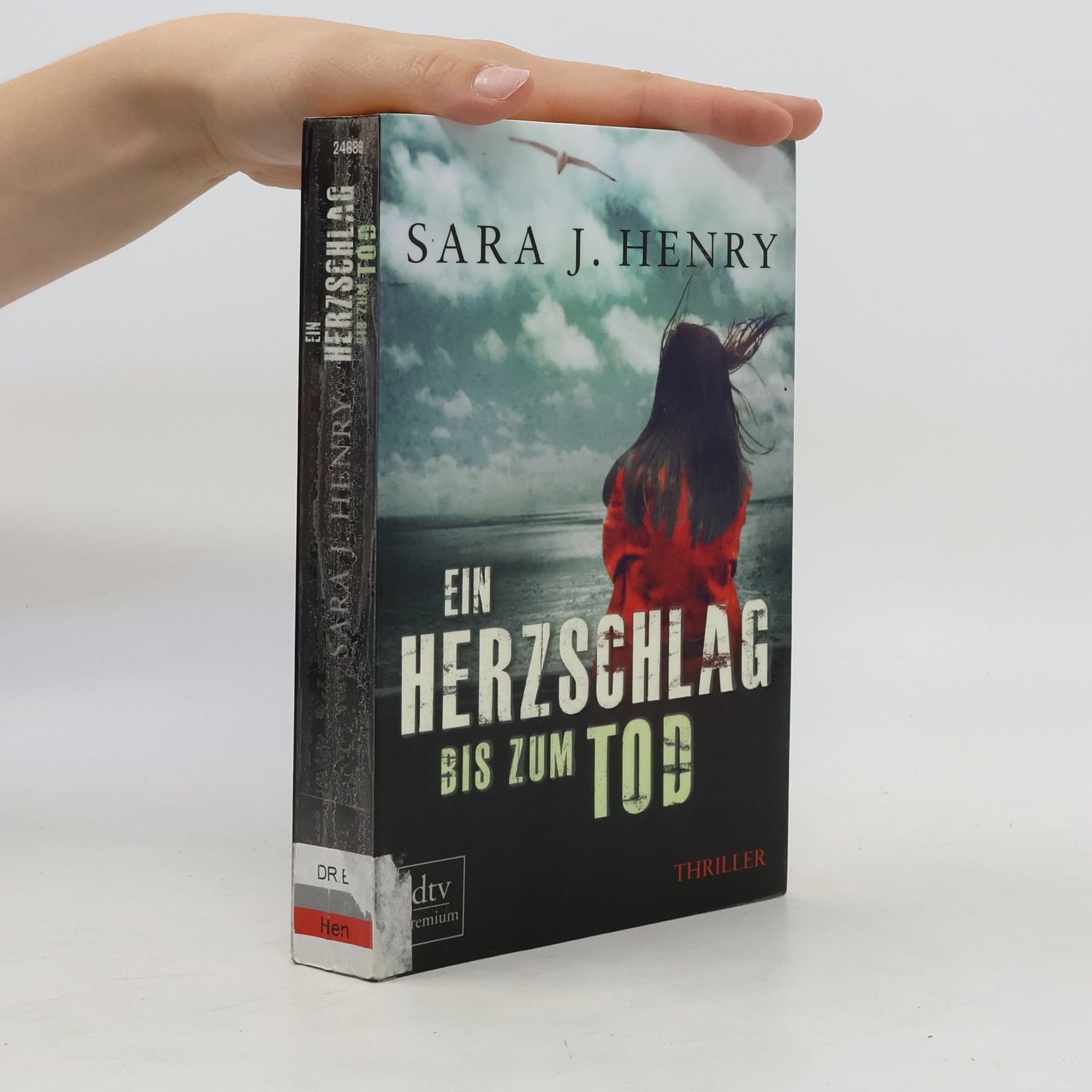 Sara J. Henry Ein Herzschlag bis zum Tod