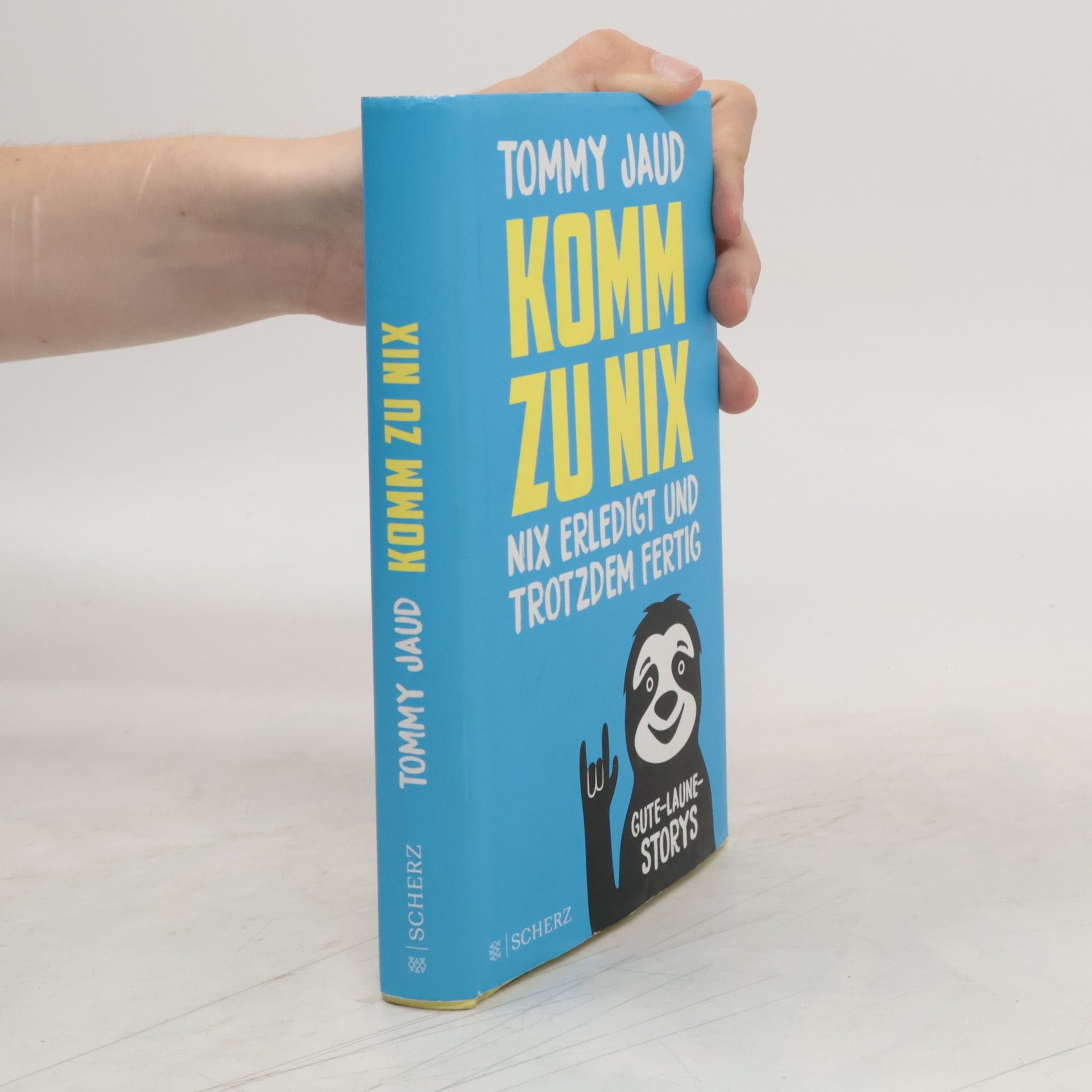 Tommy Jaud Komm zu nix. Nix erledigt und trotzdem fertig