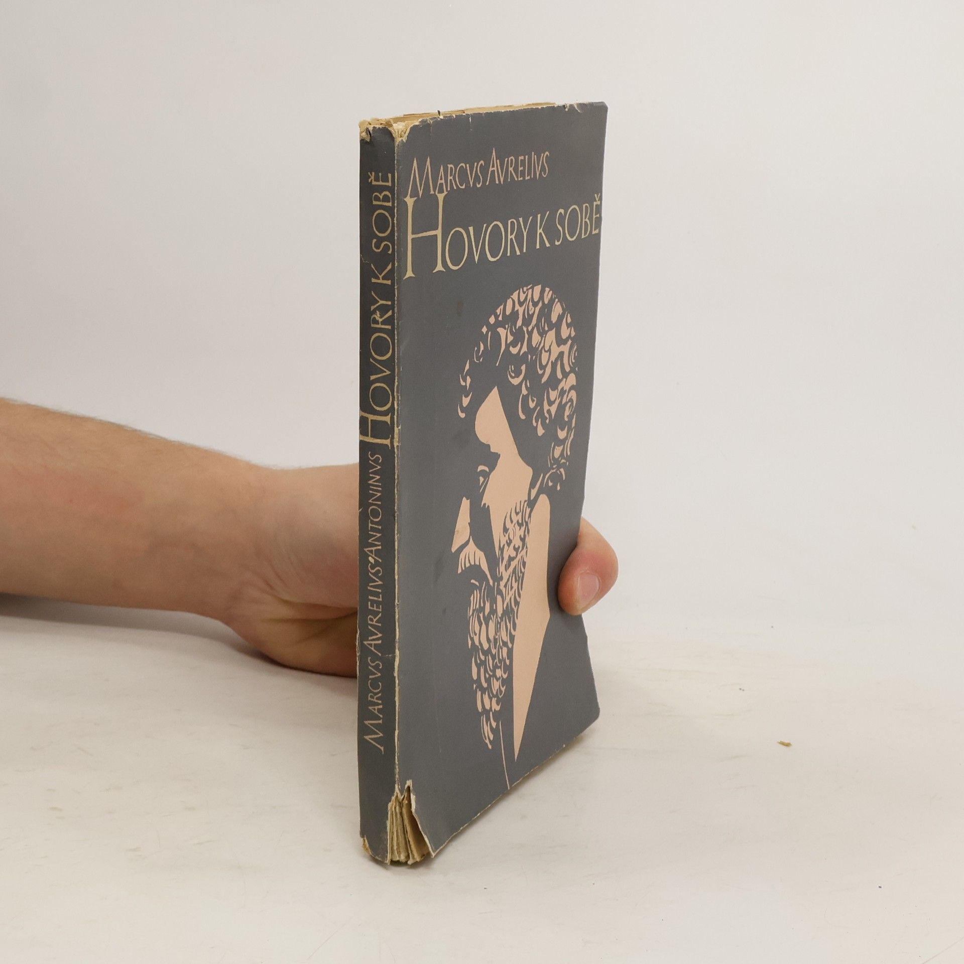 Antoninus Marcus Aurelius Hovory k sobě. Deník římského císaře