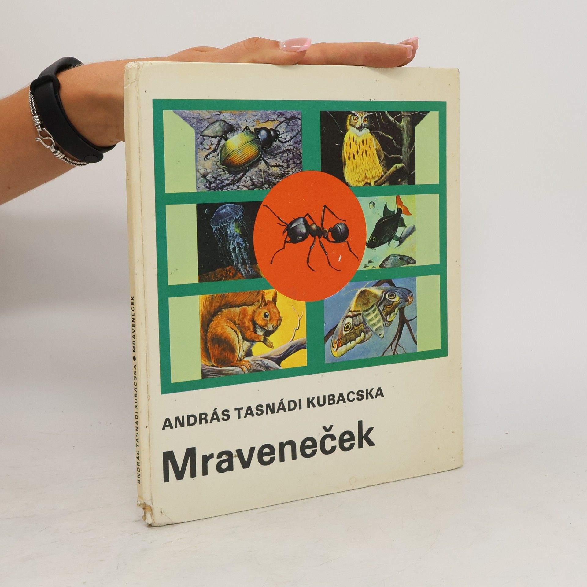 András Tasnádi Kubacska Mraveneček
