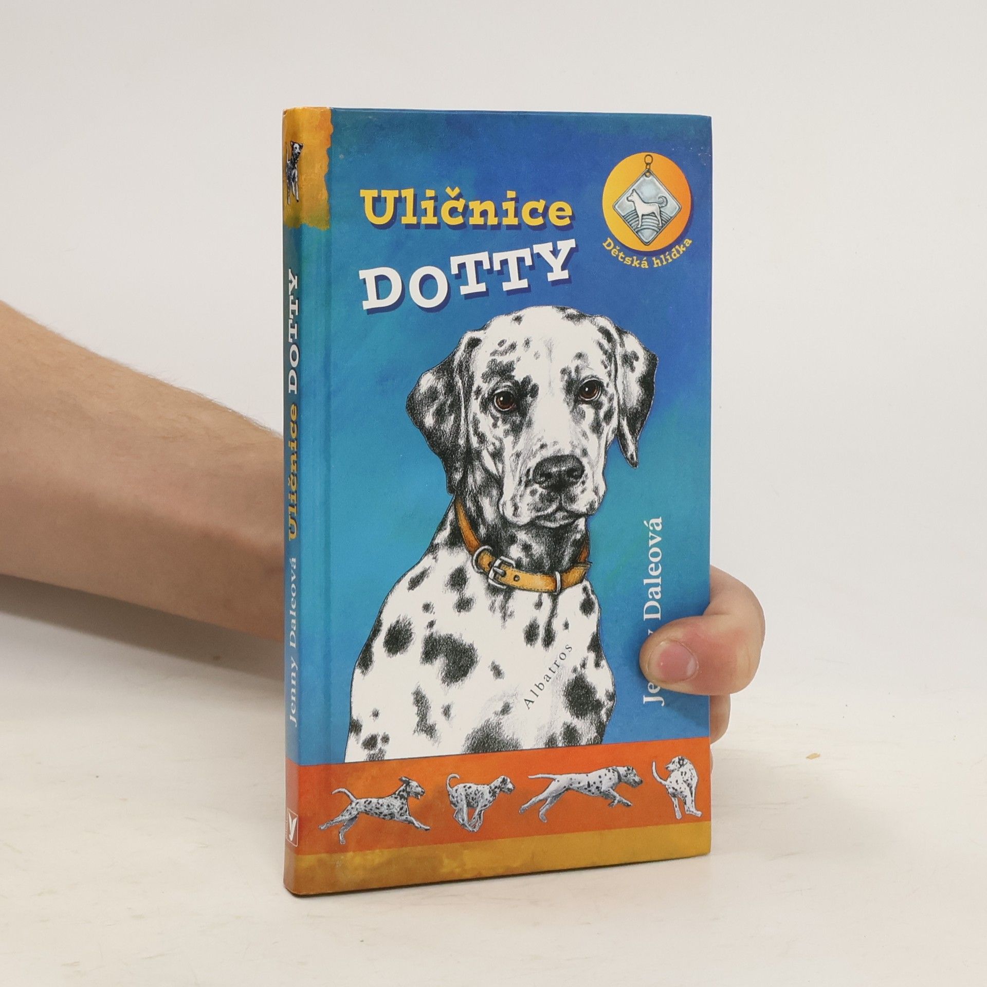Linda Chapman Uličnice Dotty