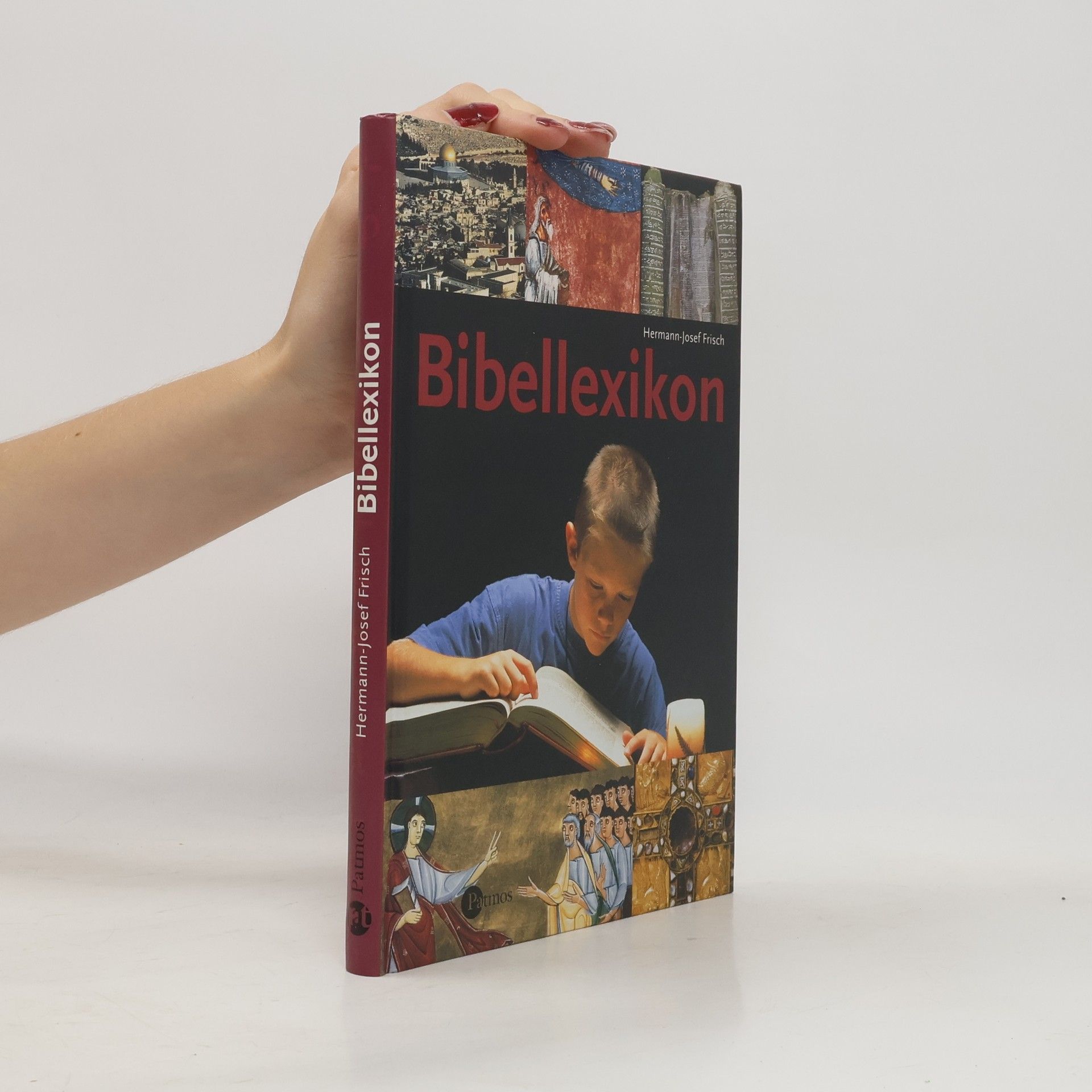 Hermann-Josef Frisch Bibellexikon