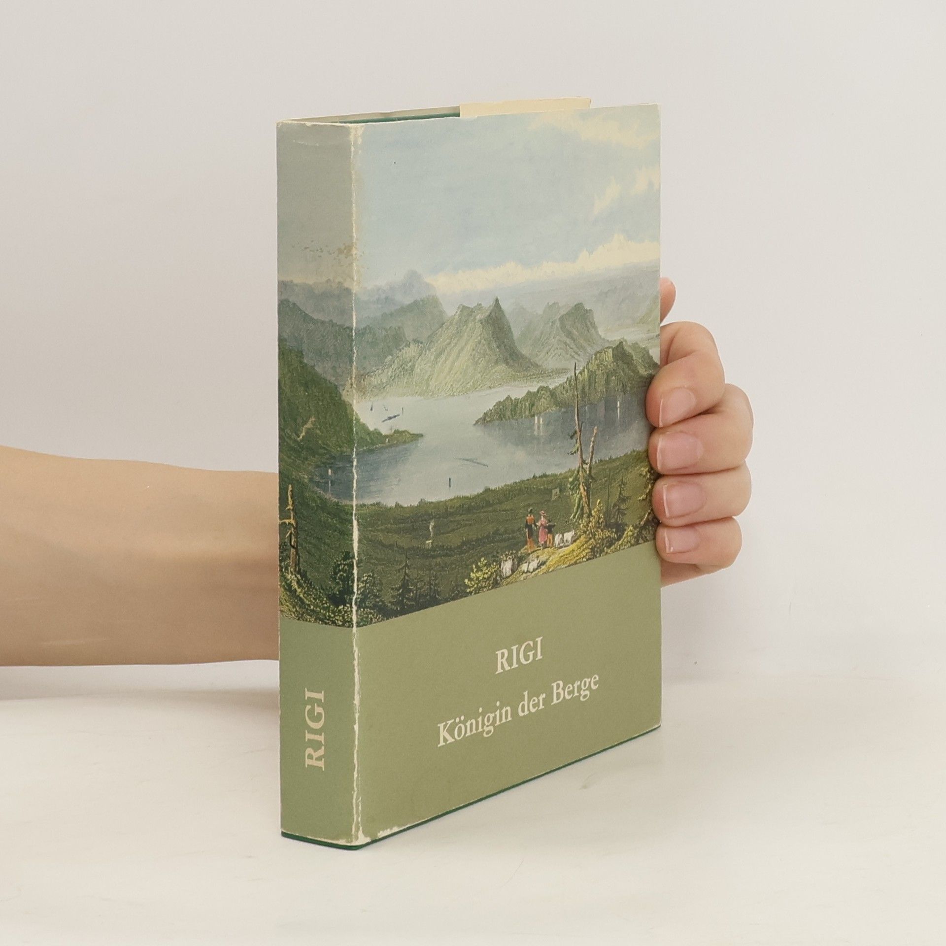 Collectif d'auteurs Rigi. Königin der Berge