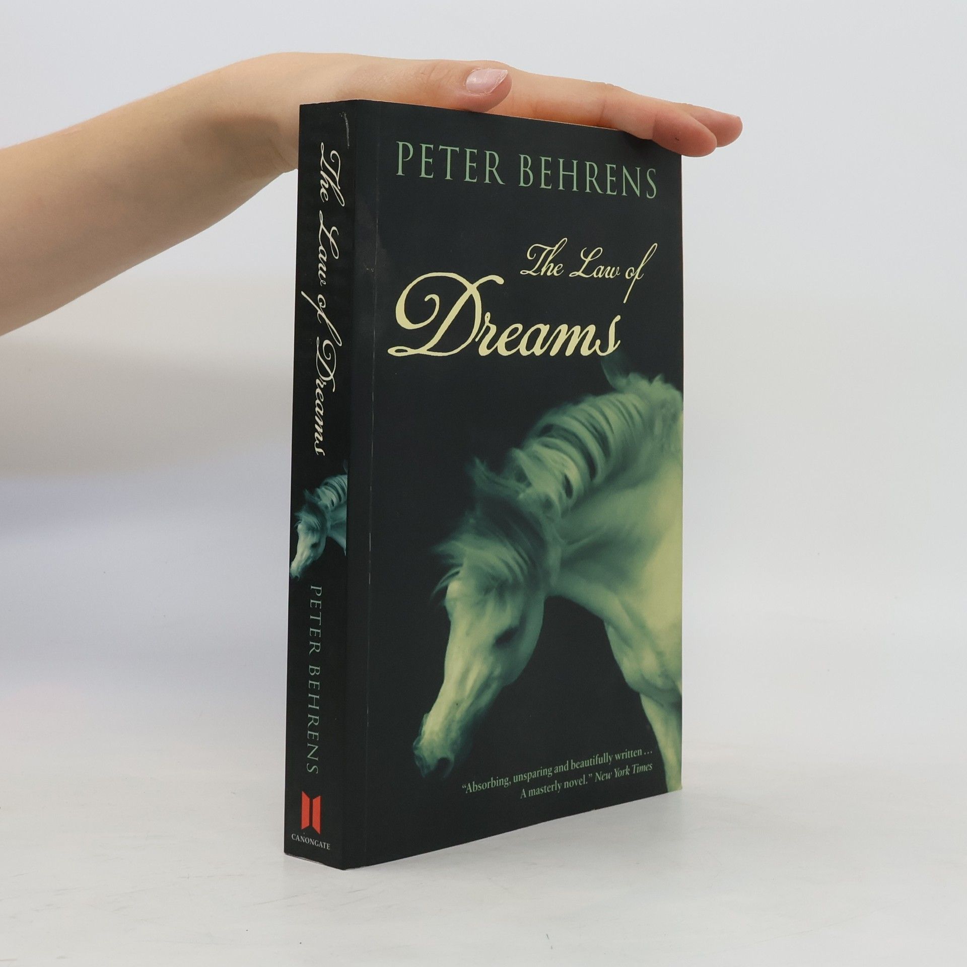 Peter Behrens The Law of Dreams