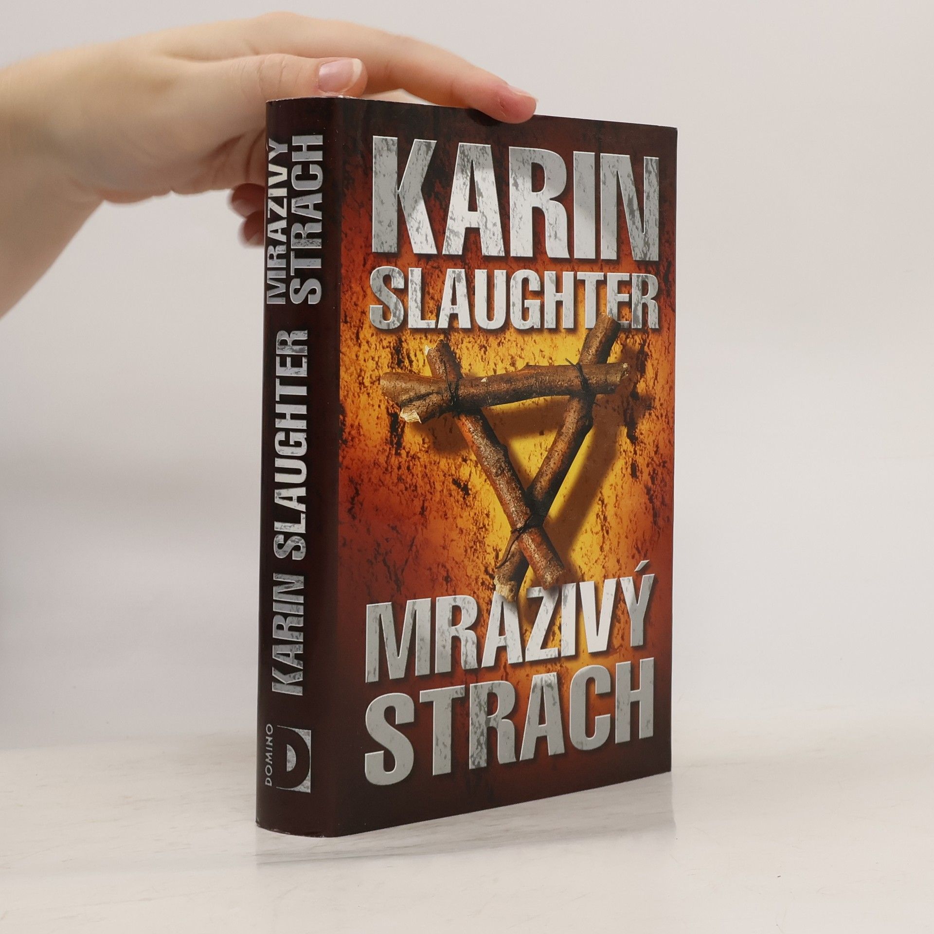 Karin Slaughter Mrazivý strach