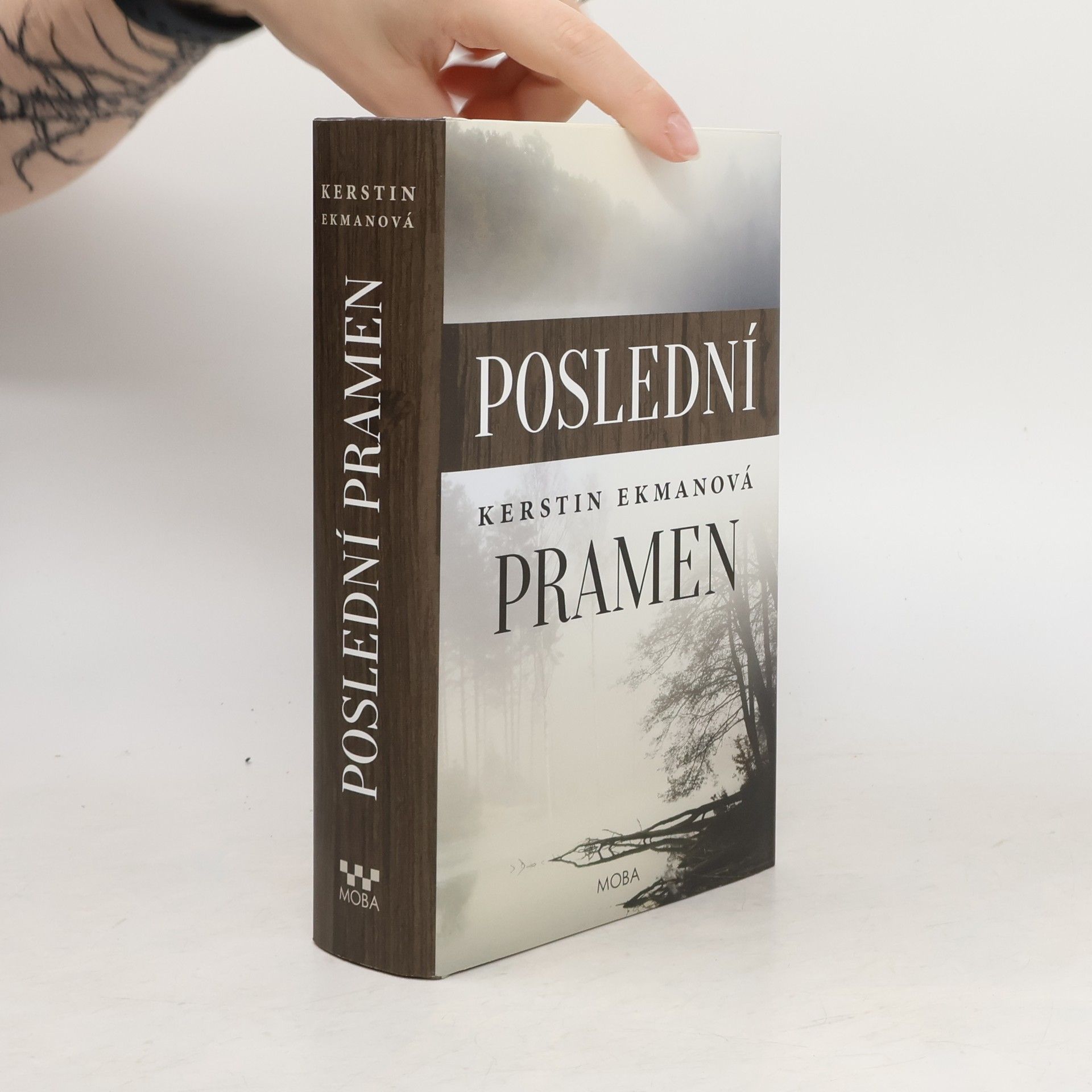 Kerstin Ekman Poslední pramen