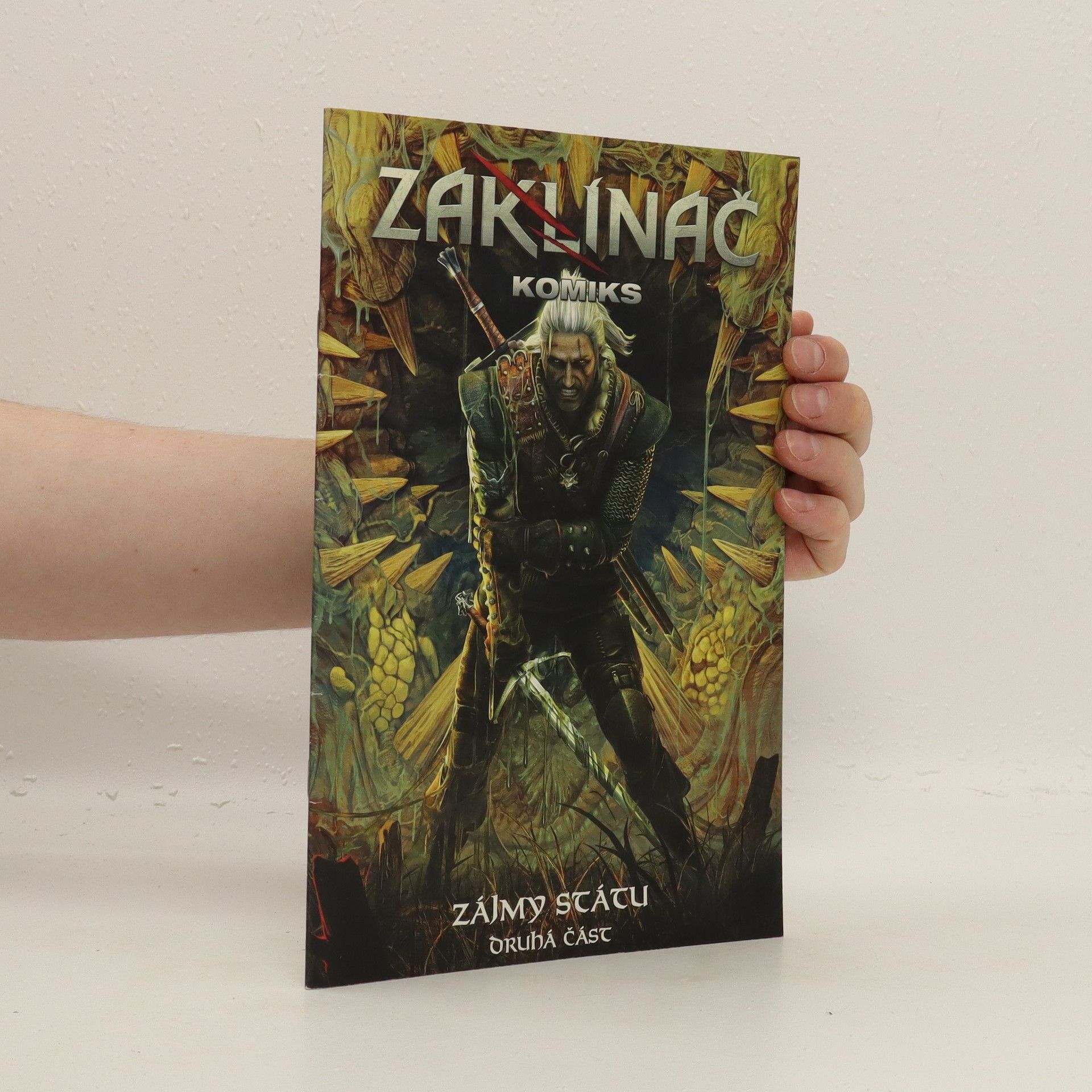 Autorenkollektiv Zaklínač. Zájmy státu. 2. část