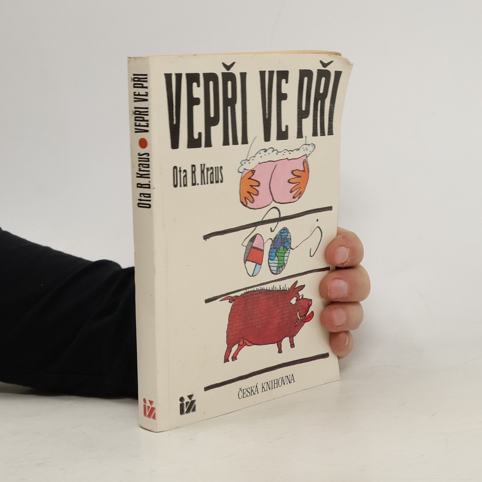 Ota B. Kraus Vepři ve při