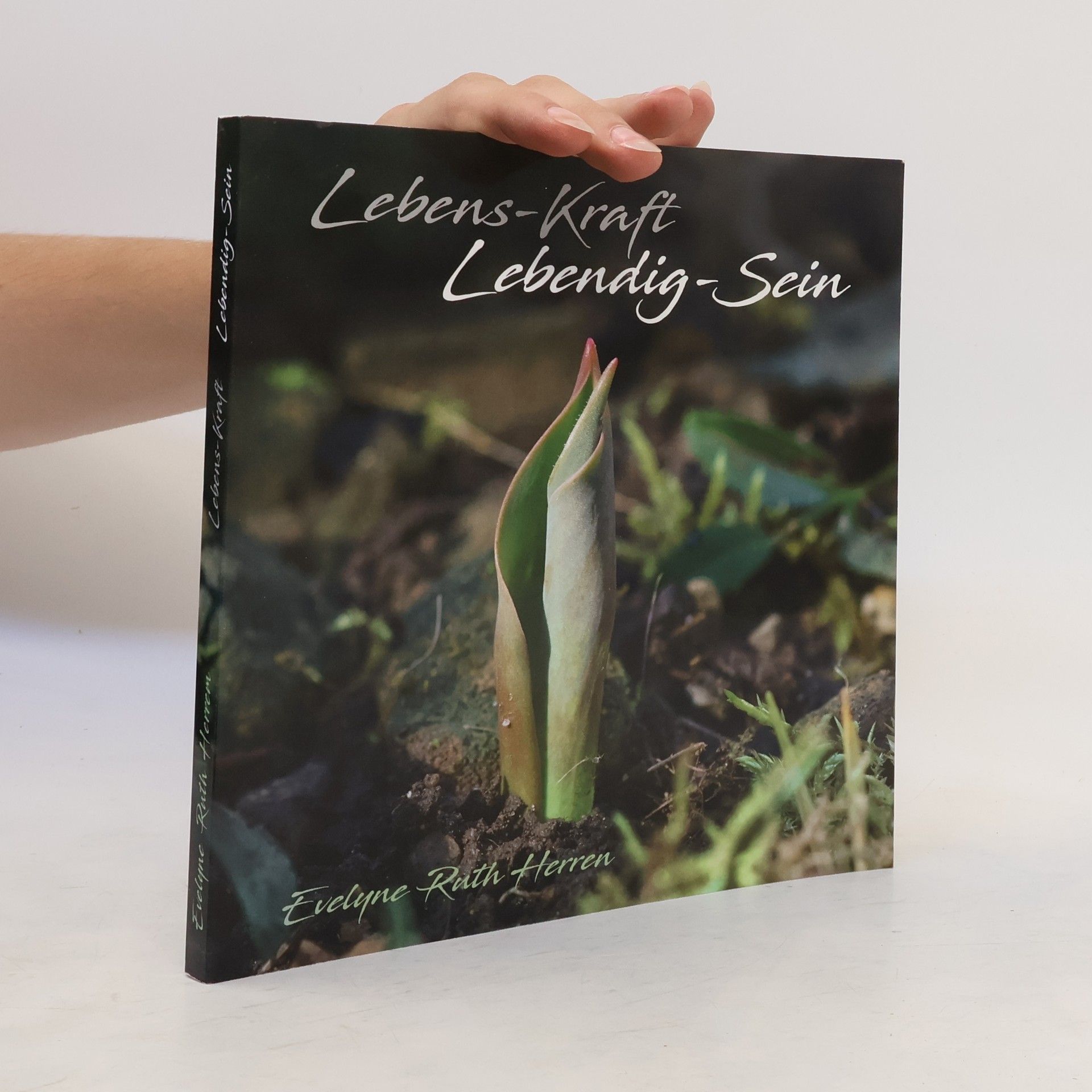 Evelyne Ruth Herren Lebens-Kraft Lebendig-Sein. Eine Anregung und eine Inspiration, wie ich in nächster Umgebung die Lebens-Kraft entdecken - in mir erwecken - und auf diese Weise lebendig werden kann.