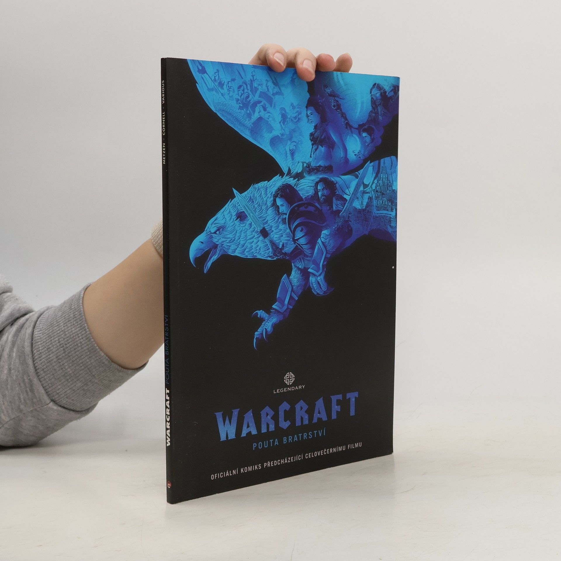 Collective Warcraft. Pouta bratrství