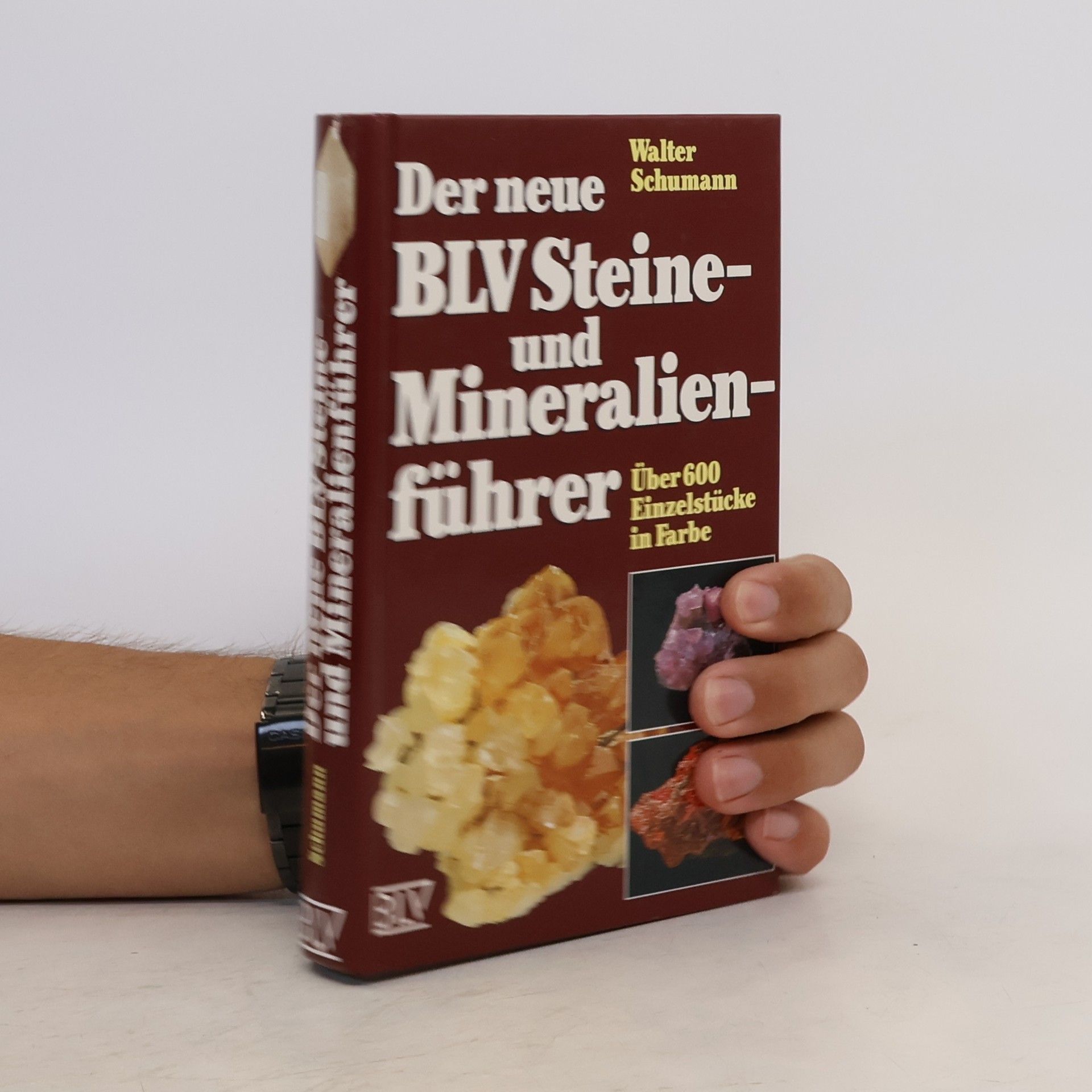 Walter Schumann Der neue BLV-Steine- und Mineralienführer