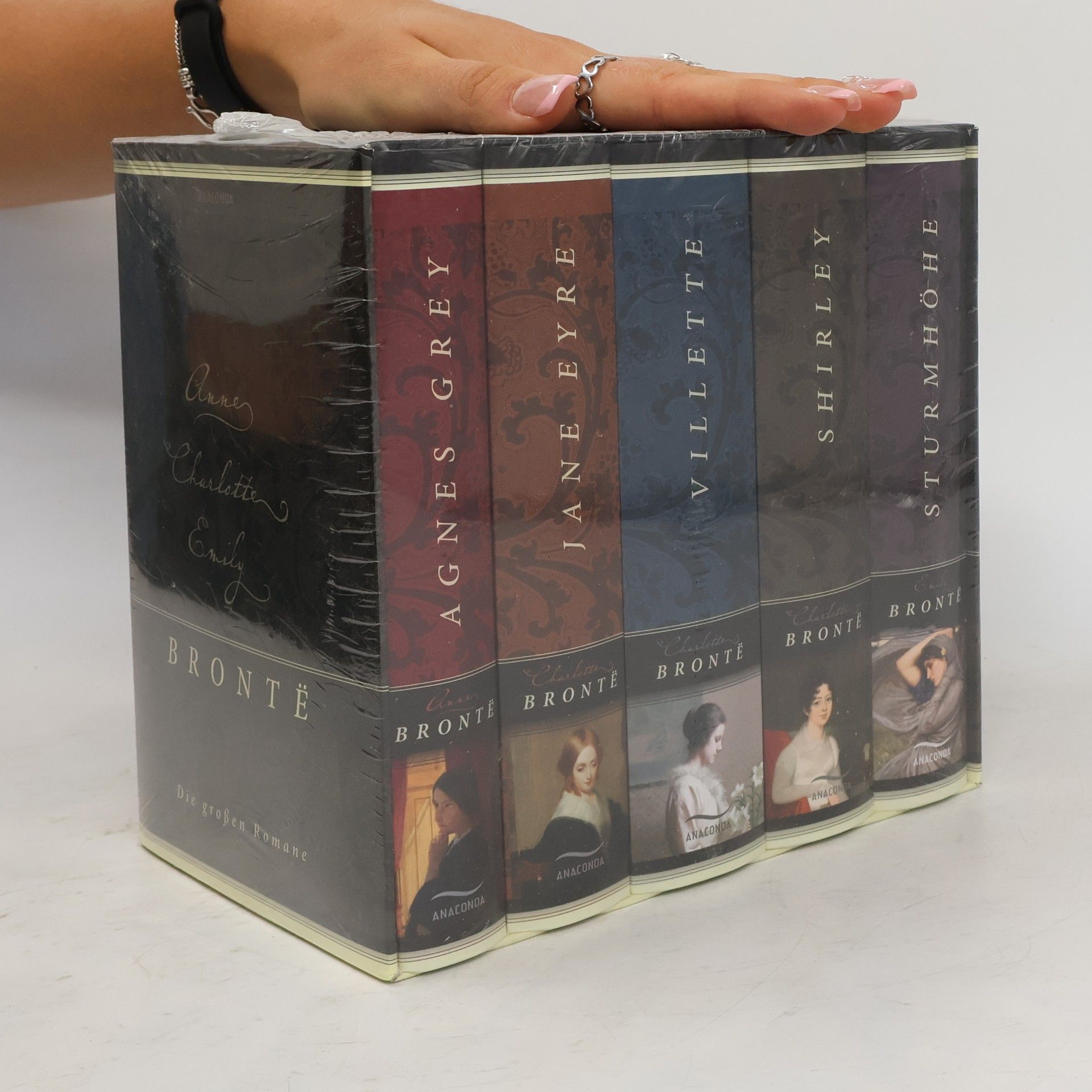 Emily Brontë Brontë. Die großen Romane