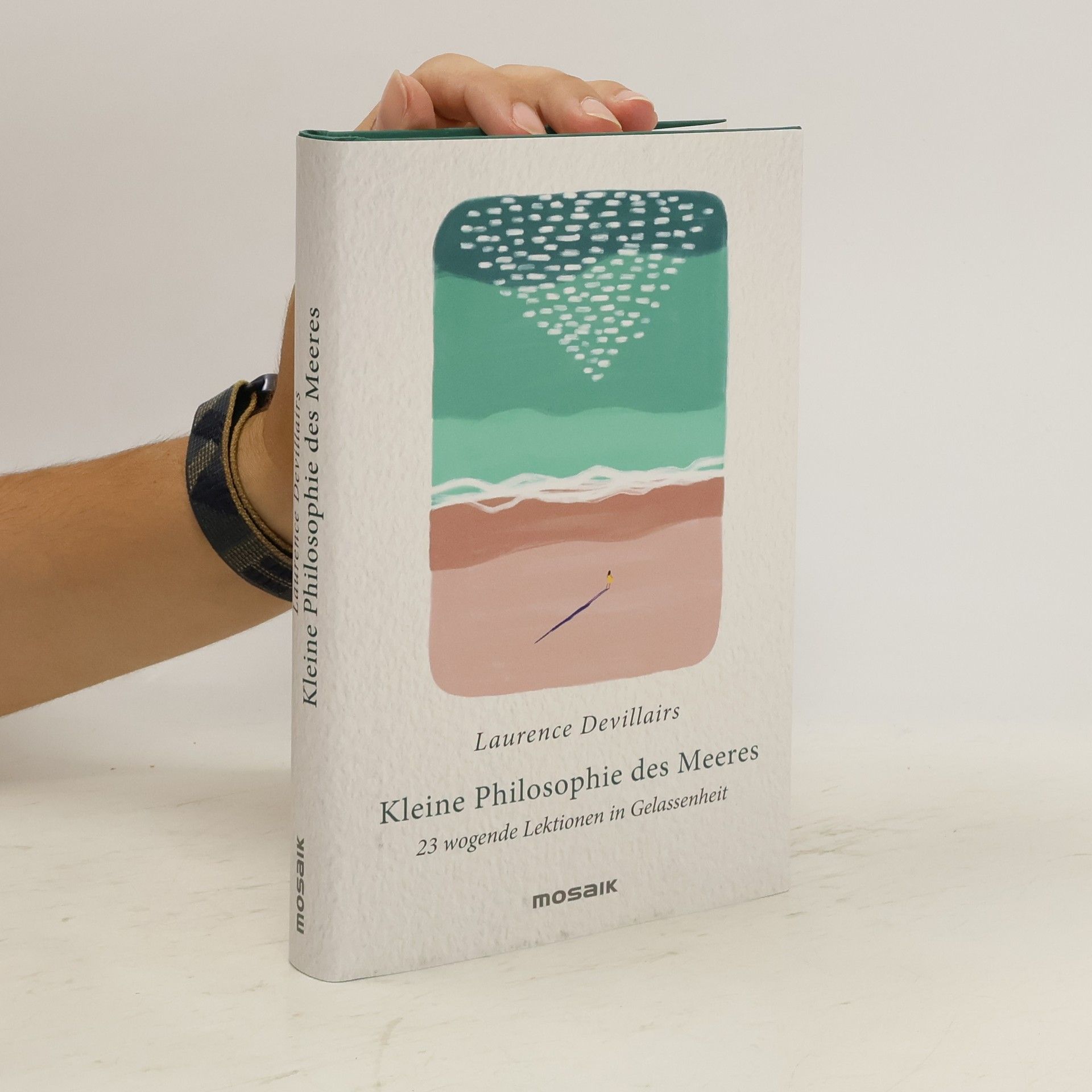 Laurence Devillairs Kleine Philosophie des Meeres