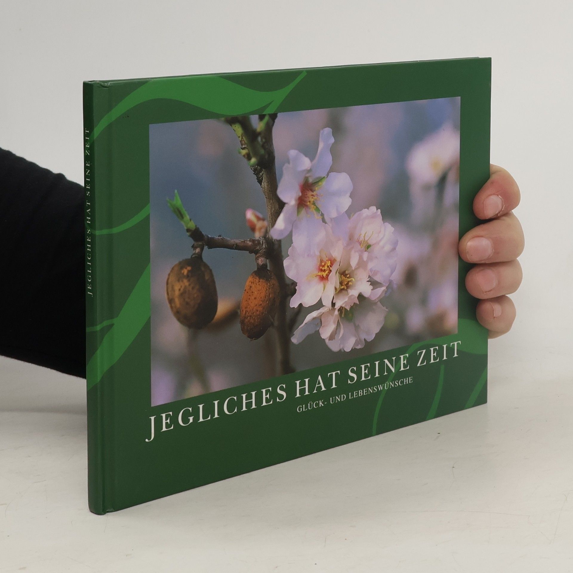 Bettine Reichelt Jegliches hat seine Zeit