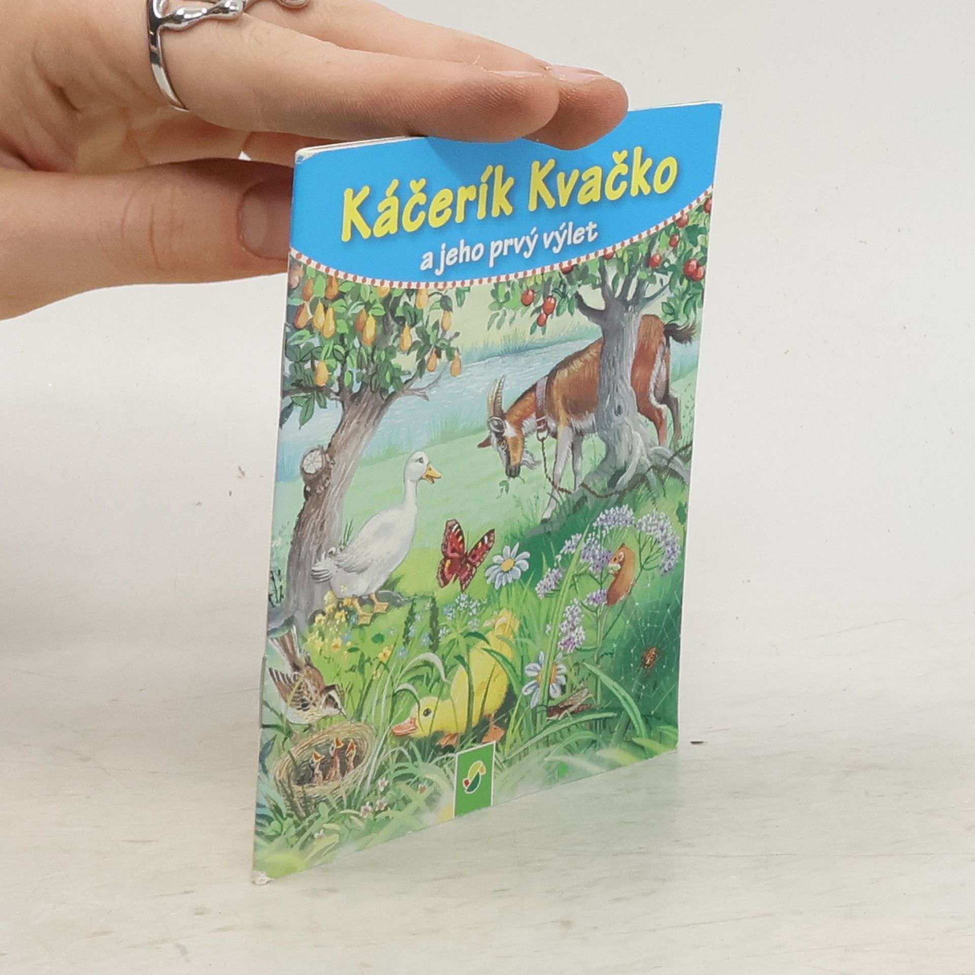 Kolektiv autorů Kačenka Kačka a její první výlet