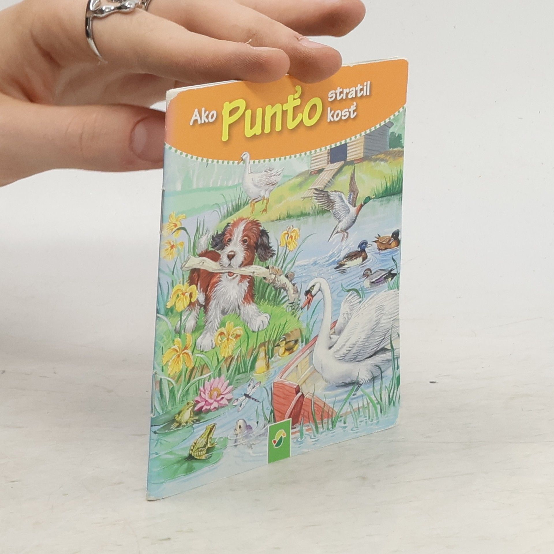 Kolektiv autorů Jak Pun'ta ztratil kost