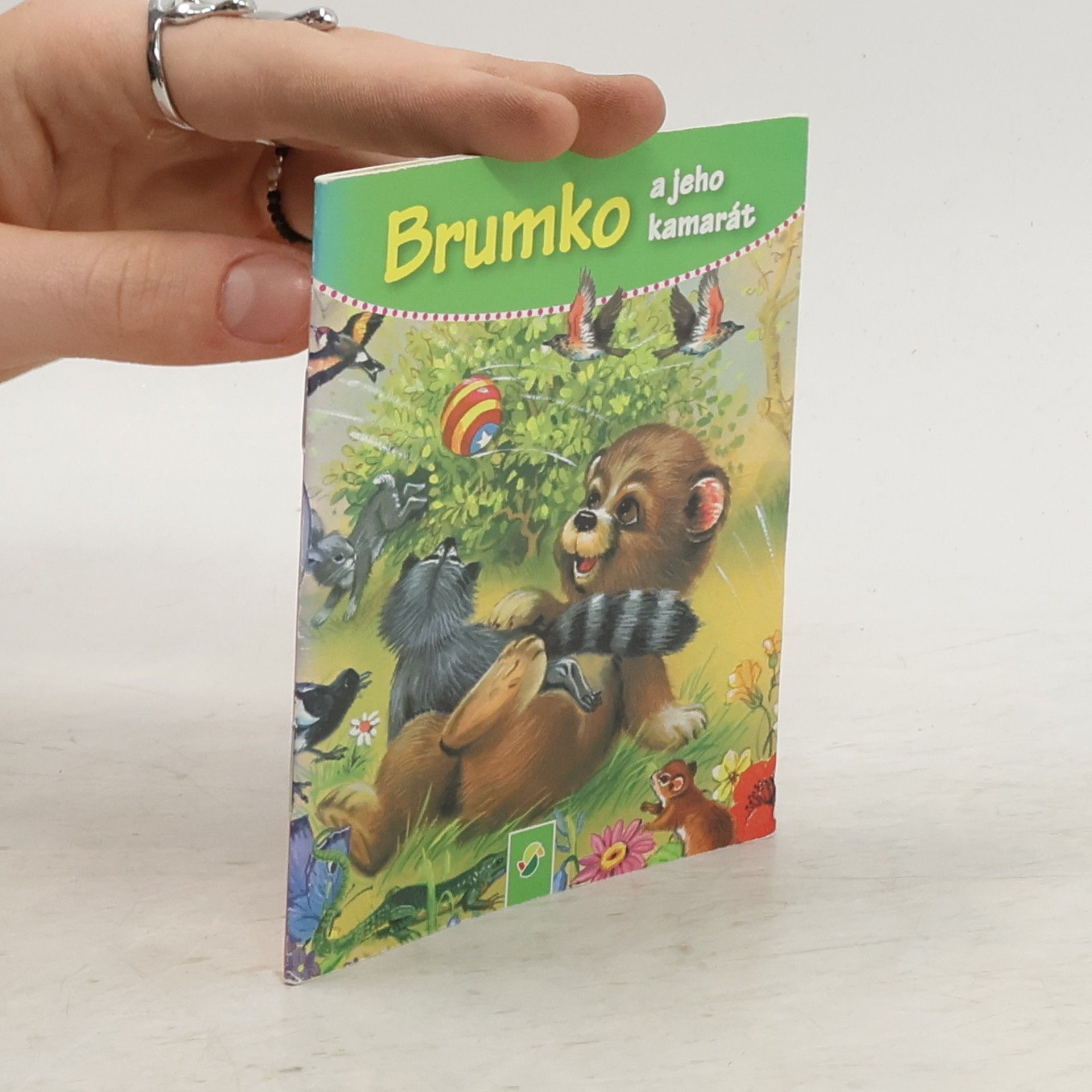 Kolektiv autorů Brumda a jeho kamarád