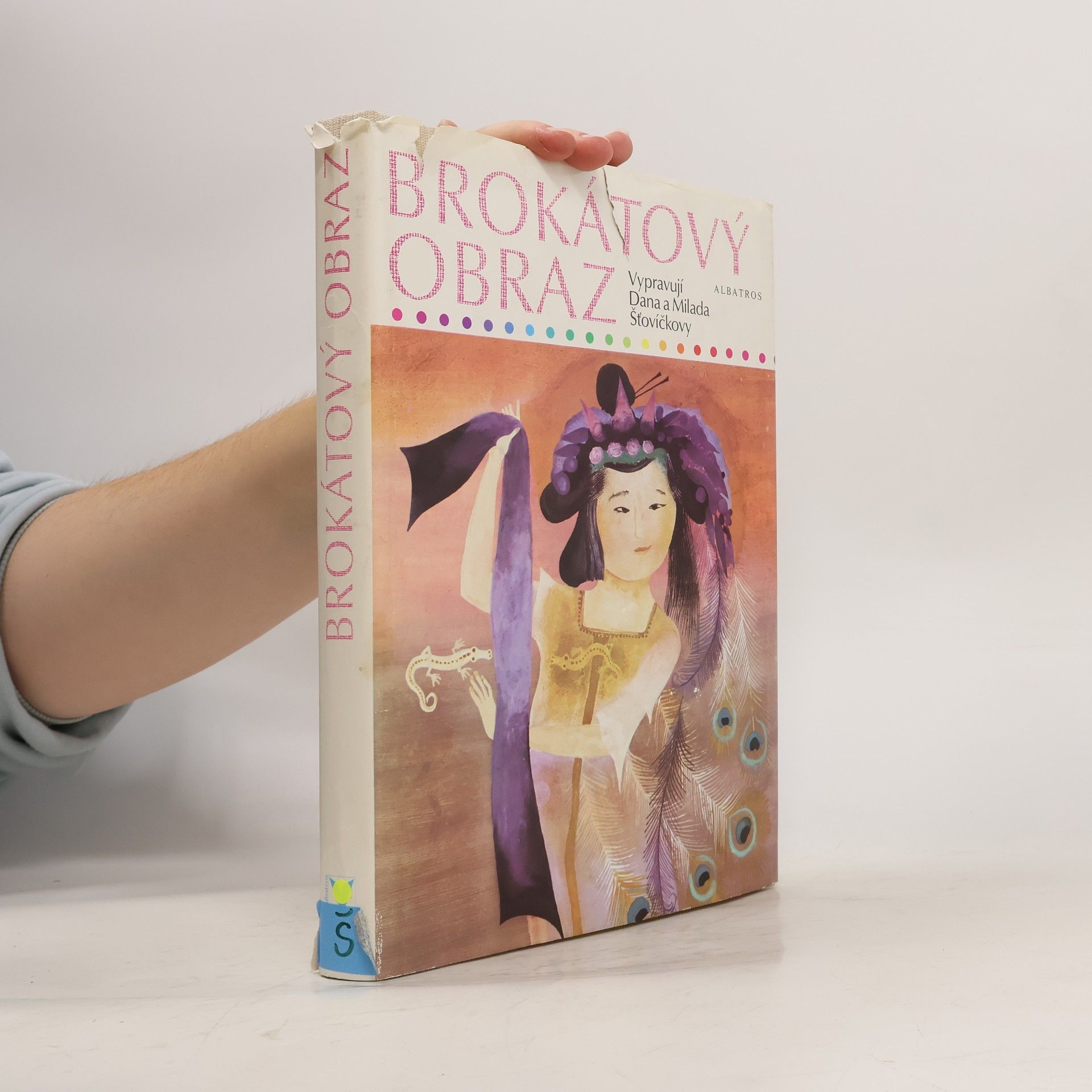 Dana Šťovíčková Brokátový obraz