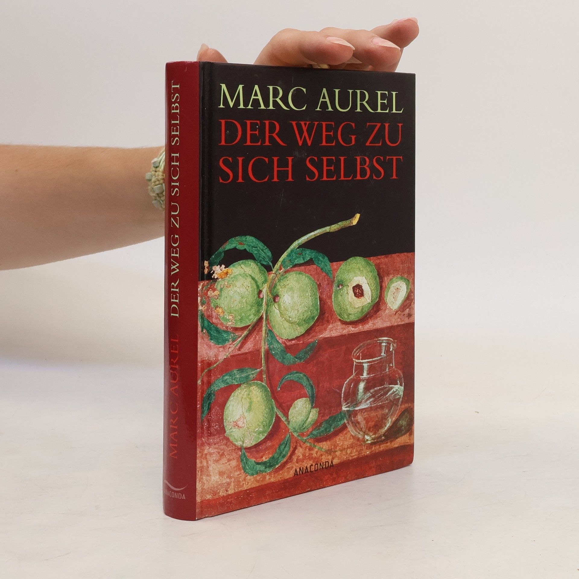 Antoninus Marcus Aurelius Der Weg zu sich selbst