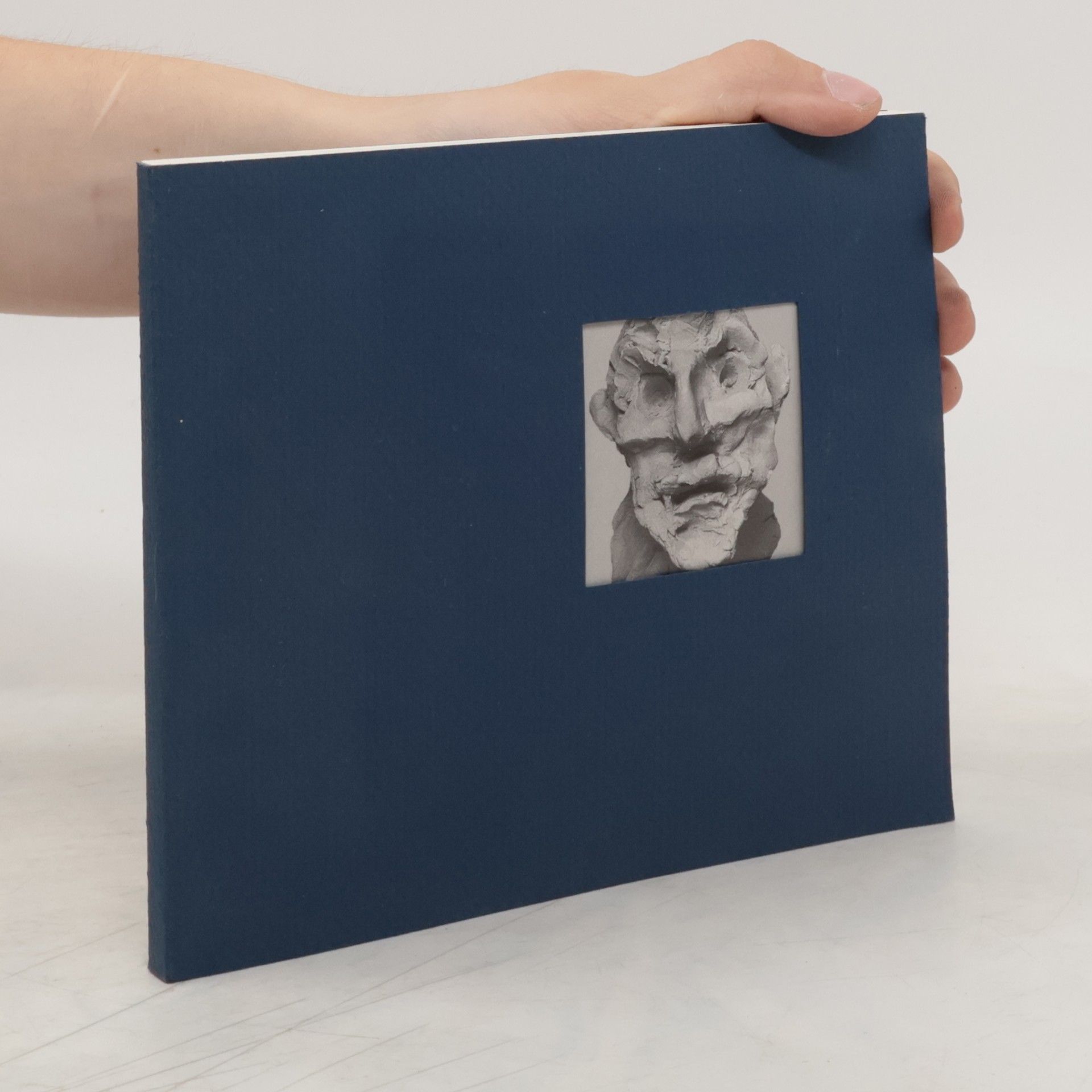 Collectif d'auteurs Die Künstlerin im medizinischen Kontext