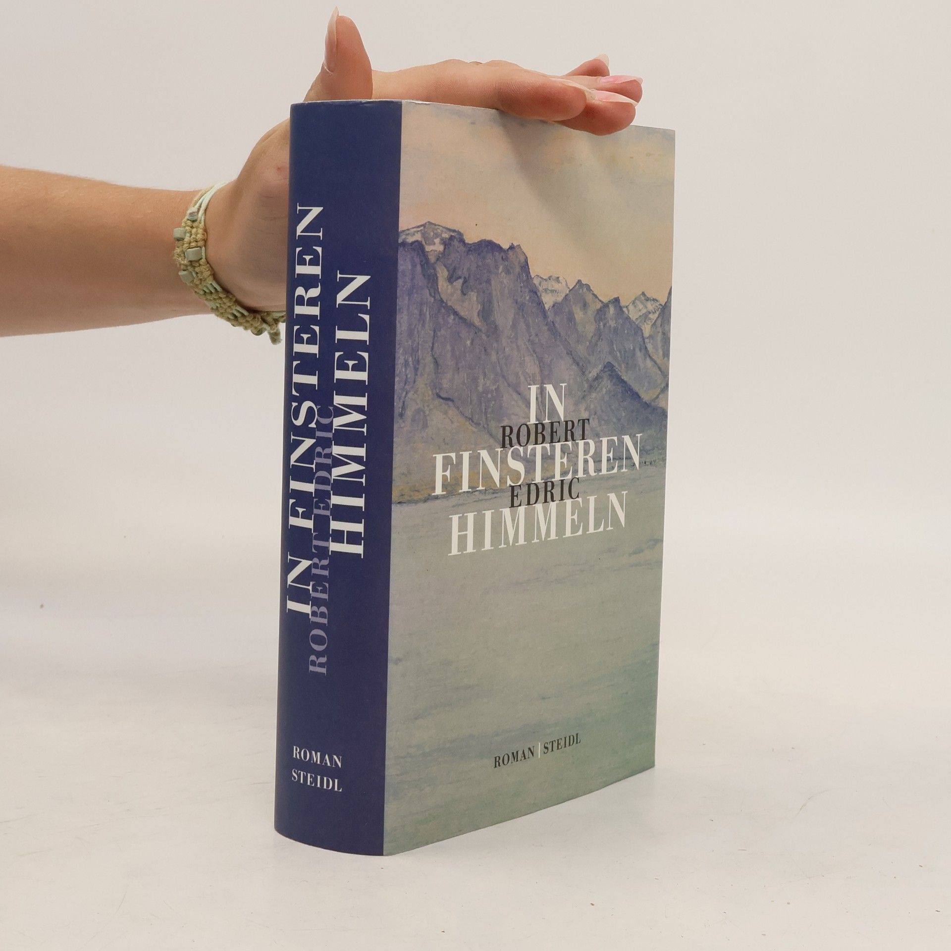 Robert Edric In finsteren Himmeln
