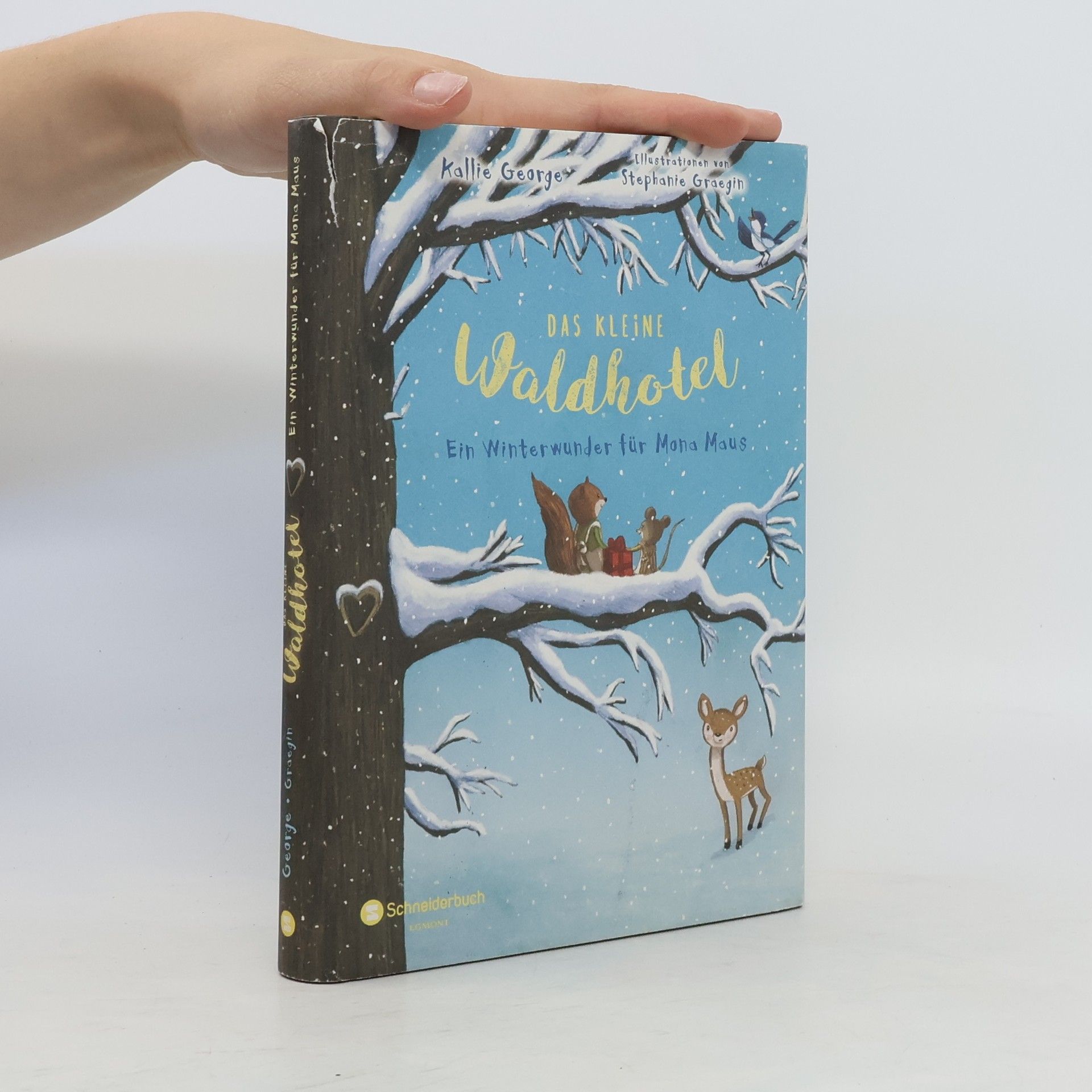 Kallie George Ein Winterwunder für Mona Maus