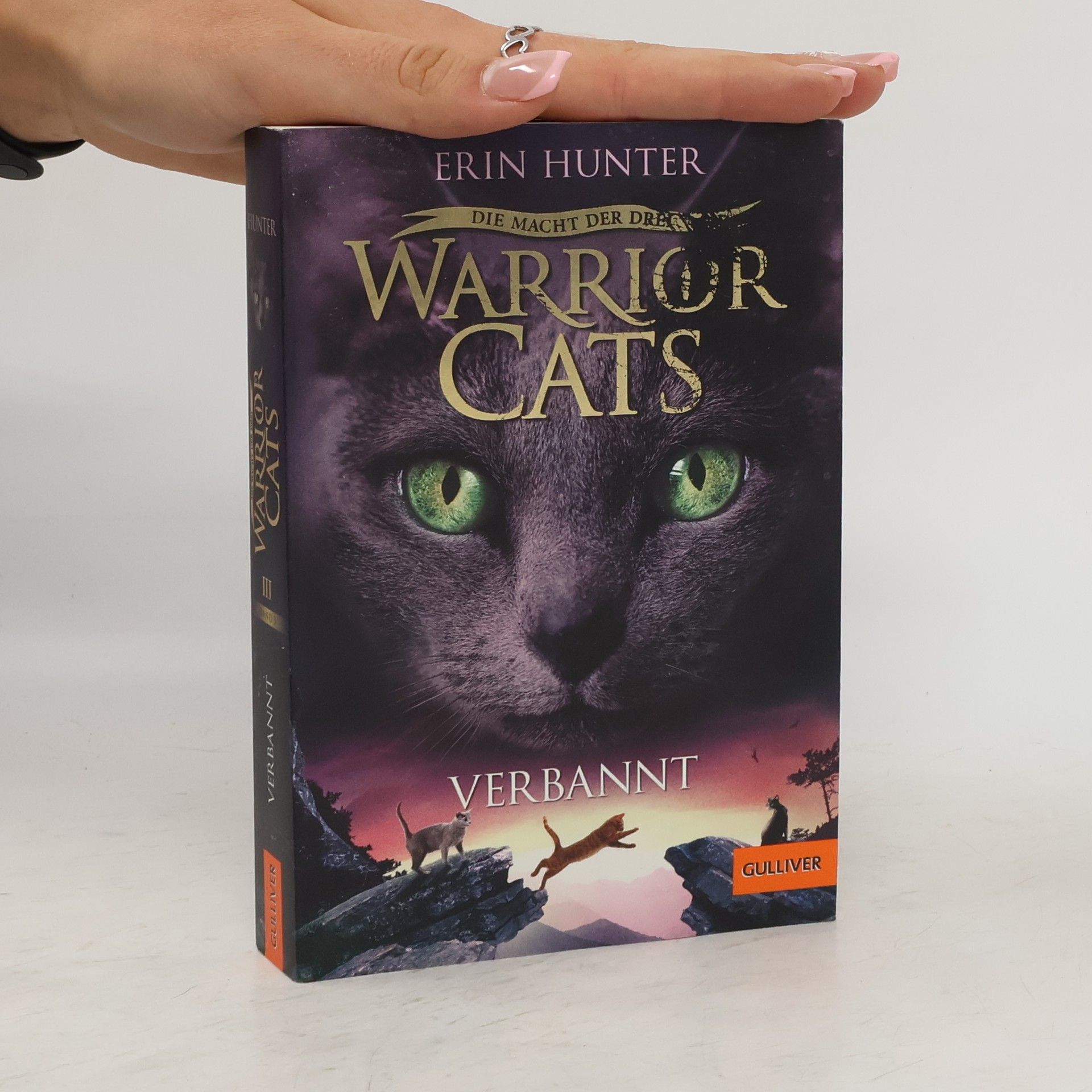 Erin Hunter Verbannt