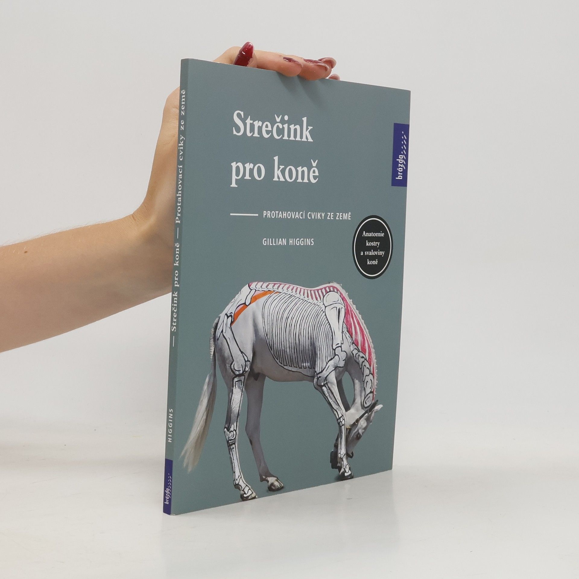 Gillian Higgins Strečink pro koně : protahovací cviky ze země