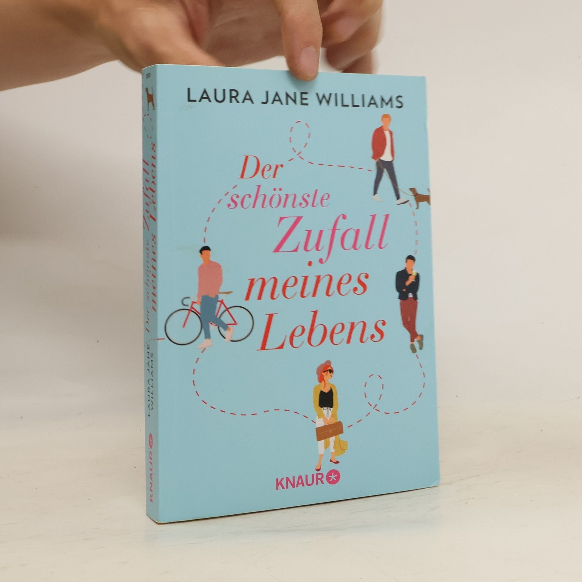 Laura Jane Williams Der schönste Zufall meines Lebens