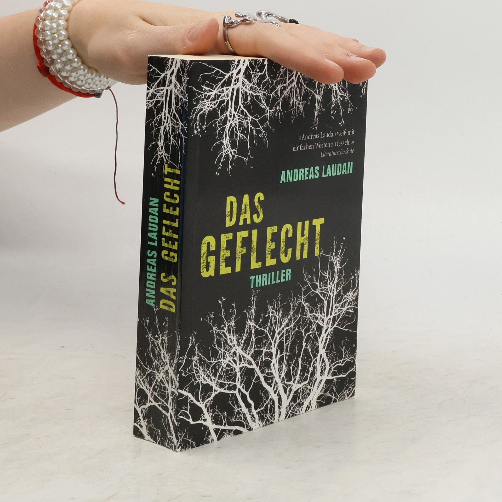 Andreas Laudan Das Geflecht